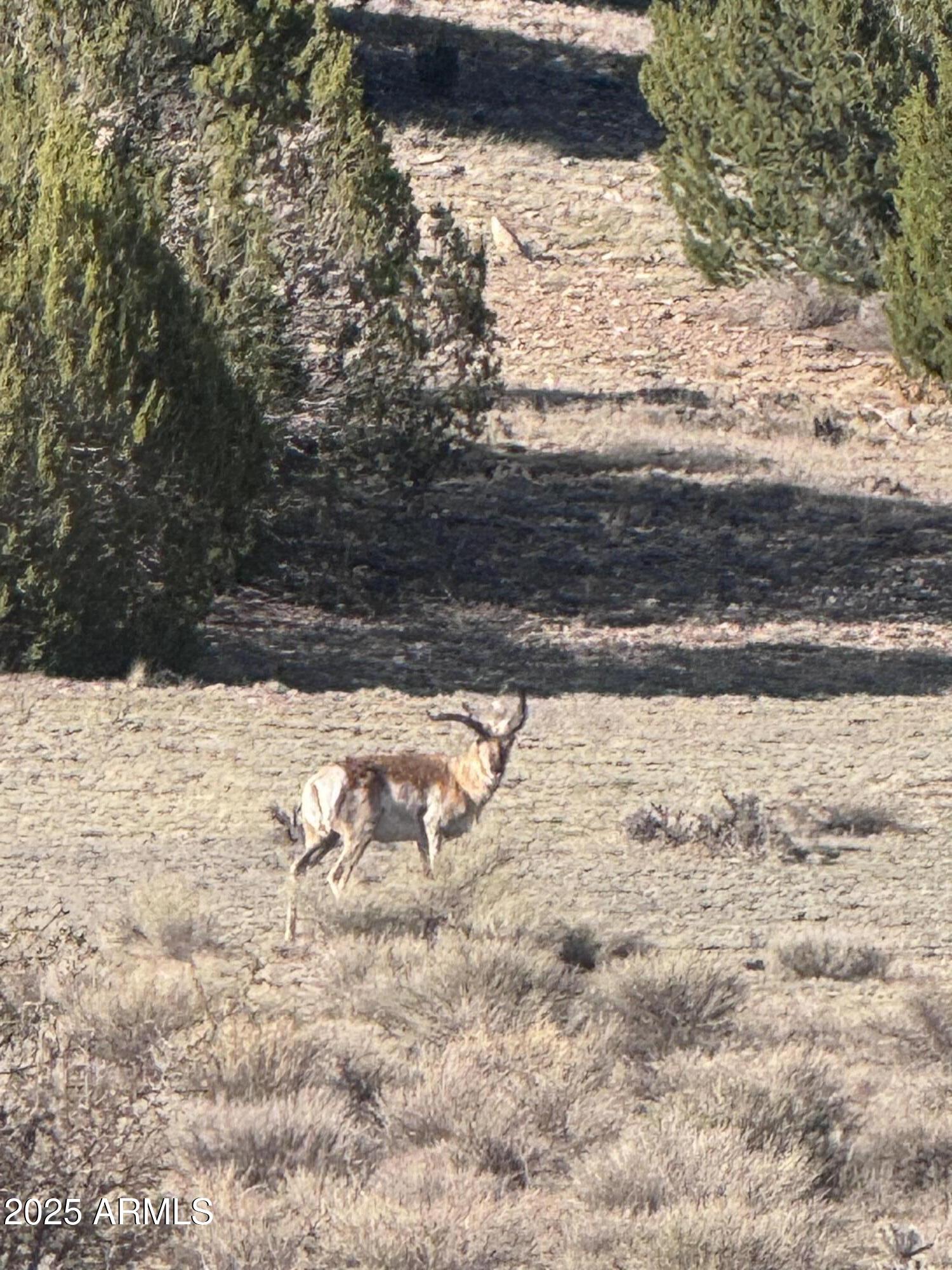 0 N PARCEL #301-10-230-1557 -- 1557