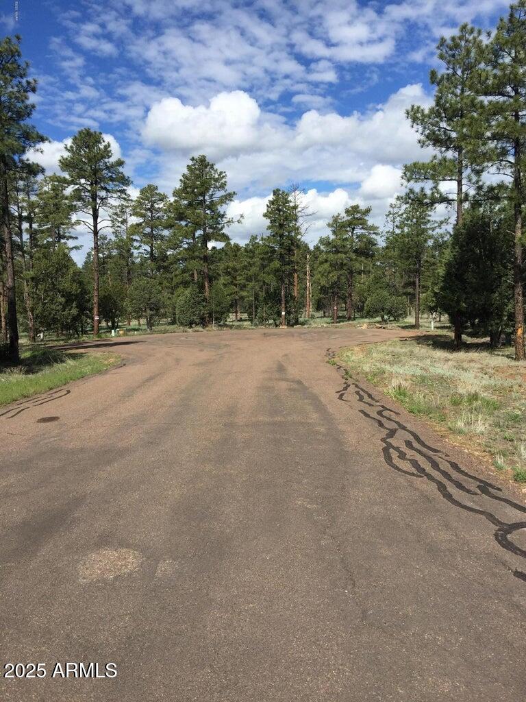 5452 RED SQUIRREL Lane 29