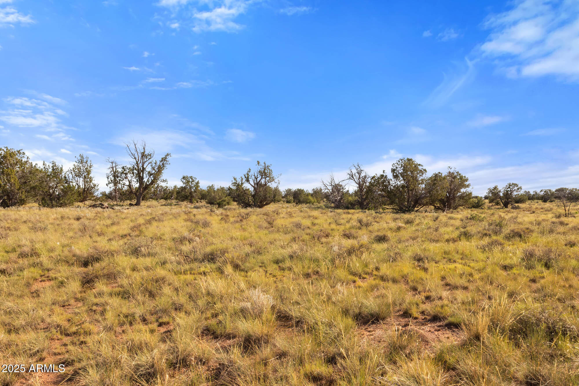 GRAND CANYON RANCHES - Land