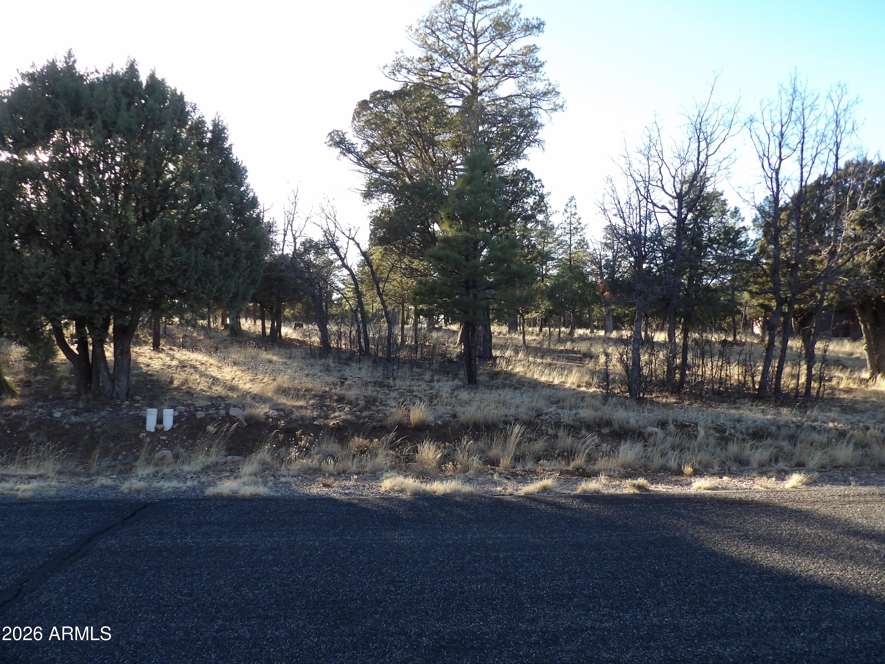 TAMARRON PINES PHASE 4 - Land