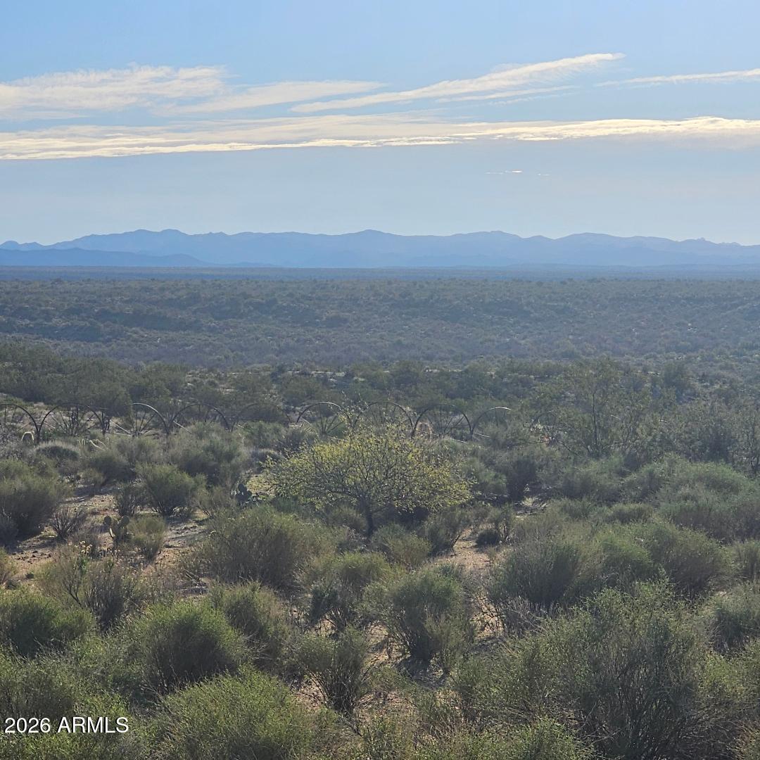 22290 W Gayle Court 61