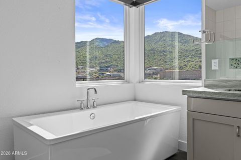 14538 N VALENCIA Drive Fountain Hills AZ 85268