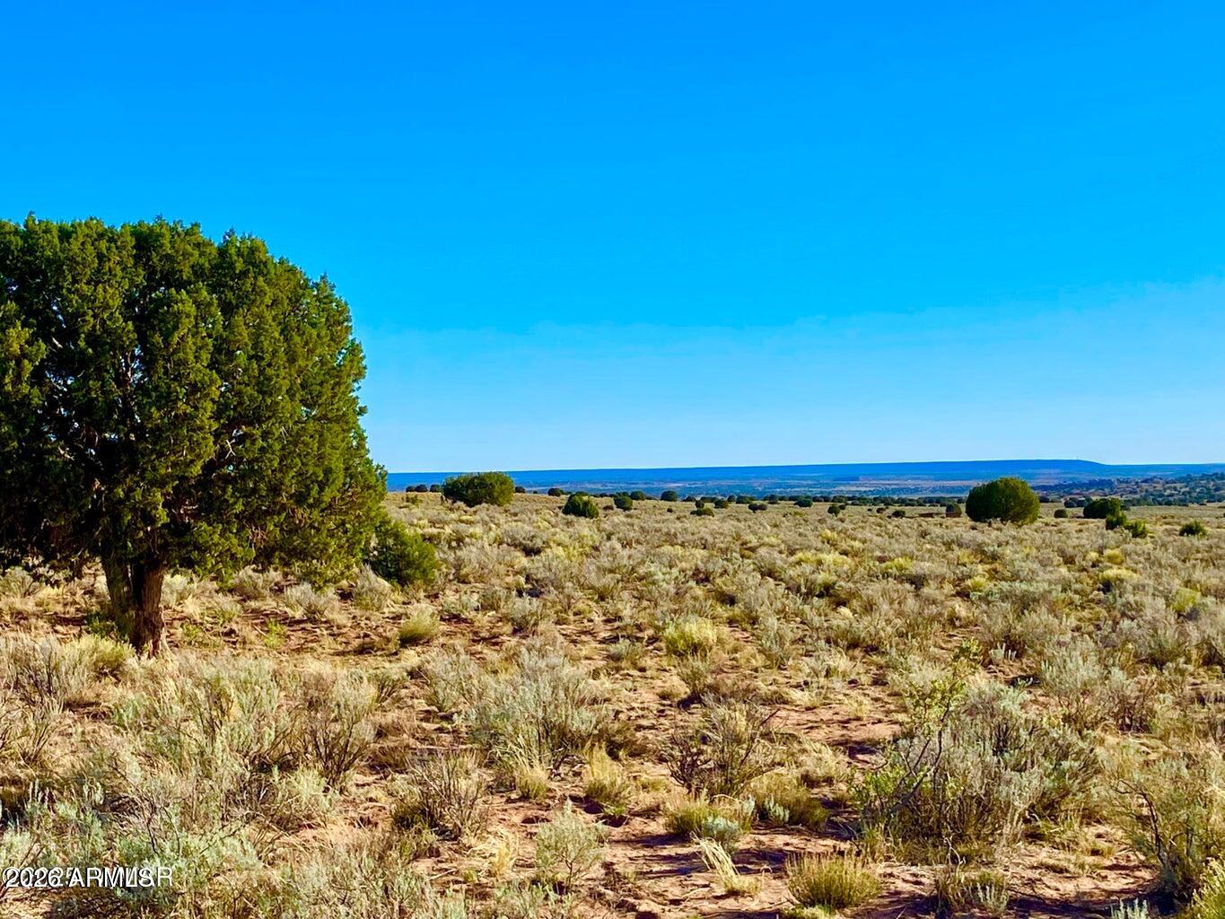 River Meadows Ranch Unit 3 Lot 204 -- -