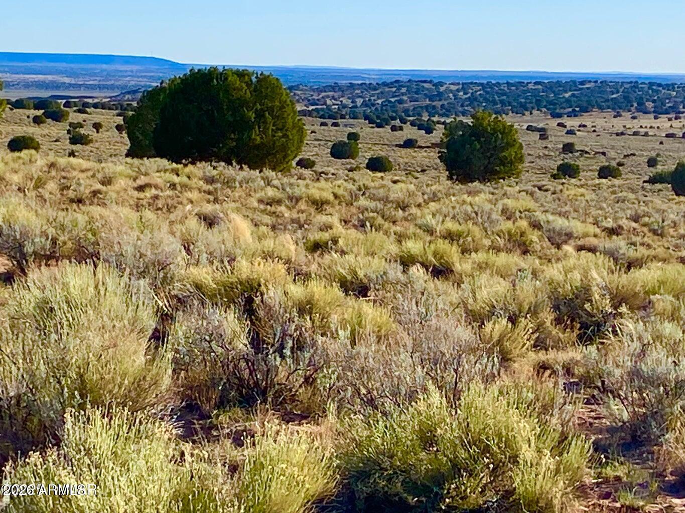 River Meadows Ranch Unit 3 Lot 204 -- -