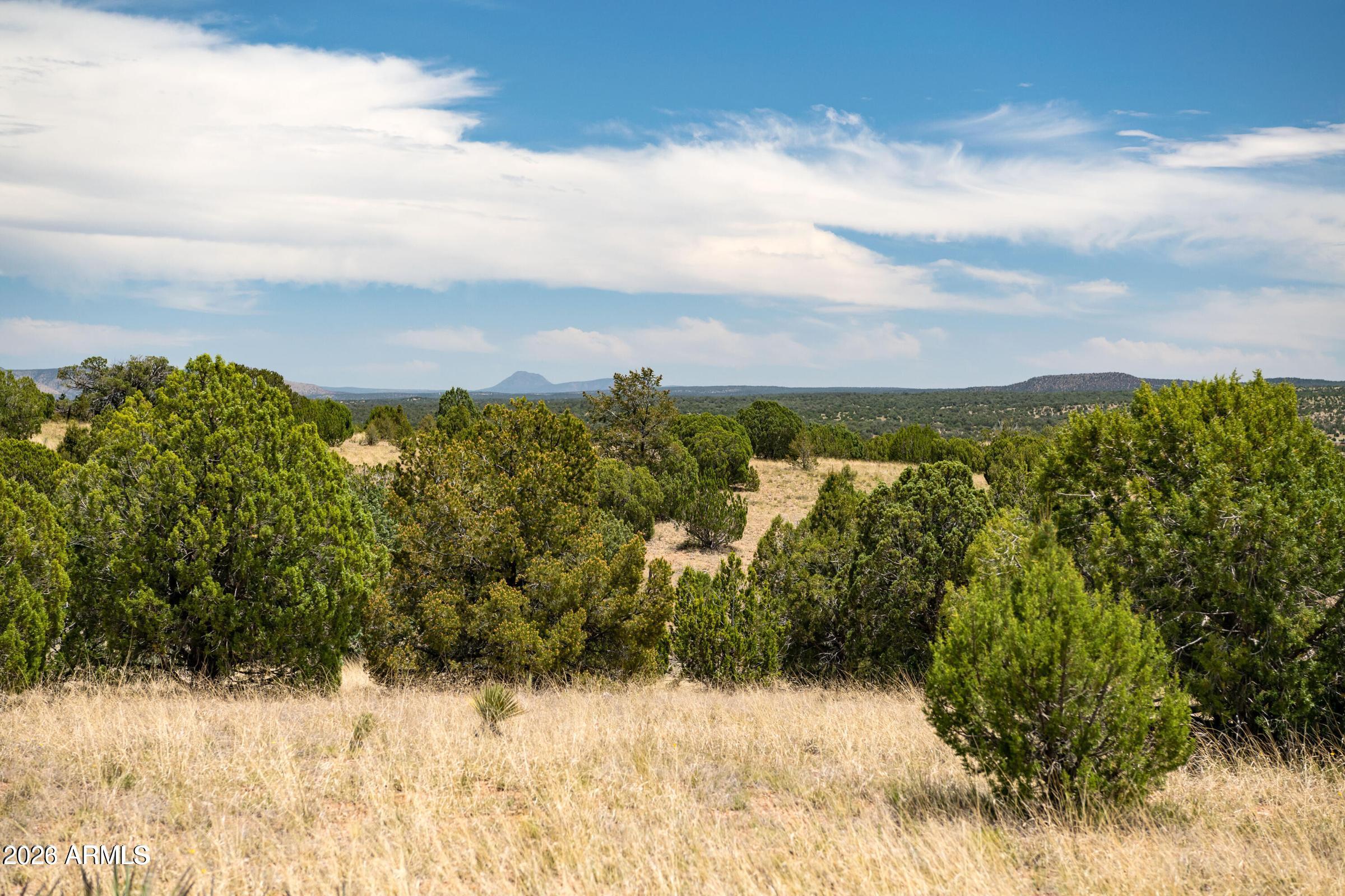 000-B Pine Ridge Trail Rd -- 50