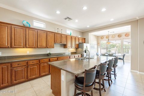 Single Family Residence in Queen Creek AZ 1511 LUMINOUS Lane 27.jpg