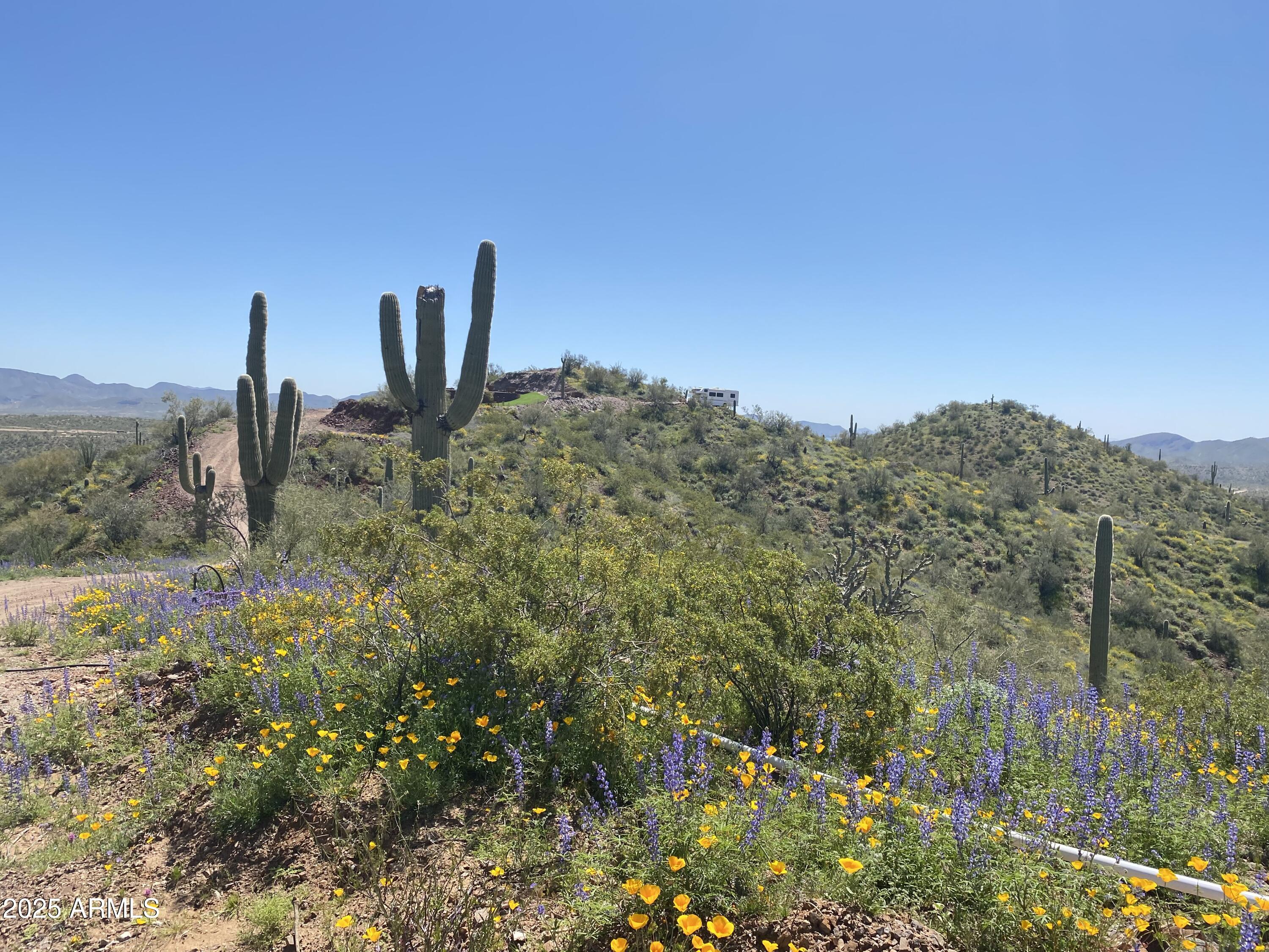 PLEASANT COUNTRY RANCHES - Land