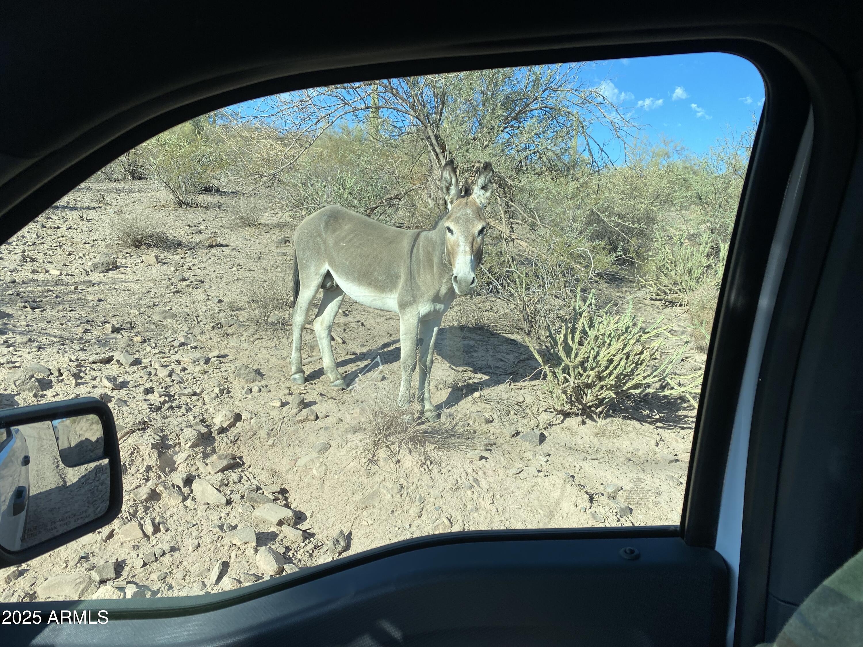 00XXX W Cow Creek rd/Rebel Pass Road C