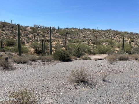3246 N SILVER TIP Trail A Queen Valley AZ 85118
