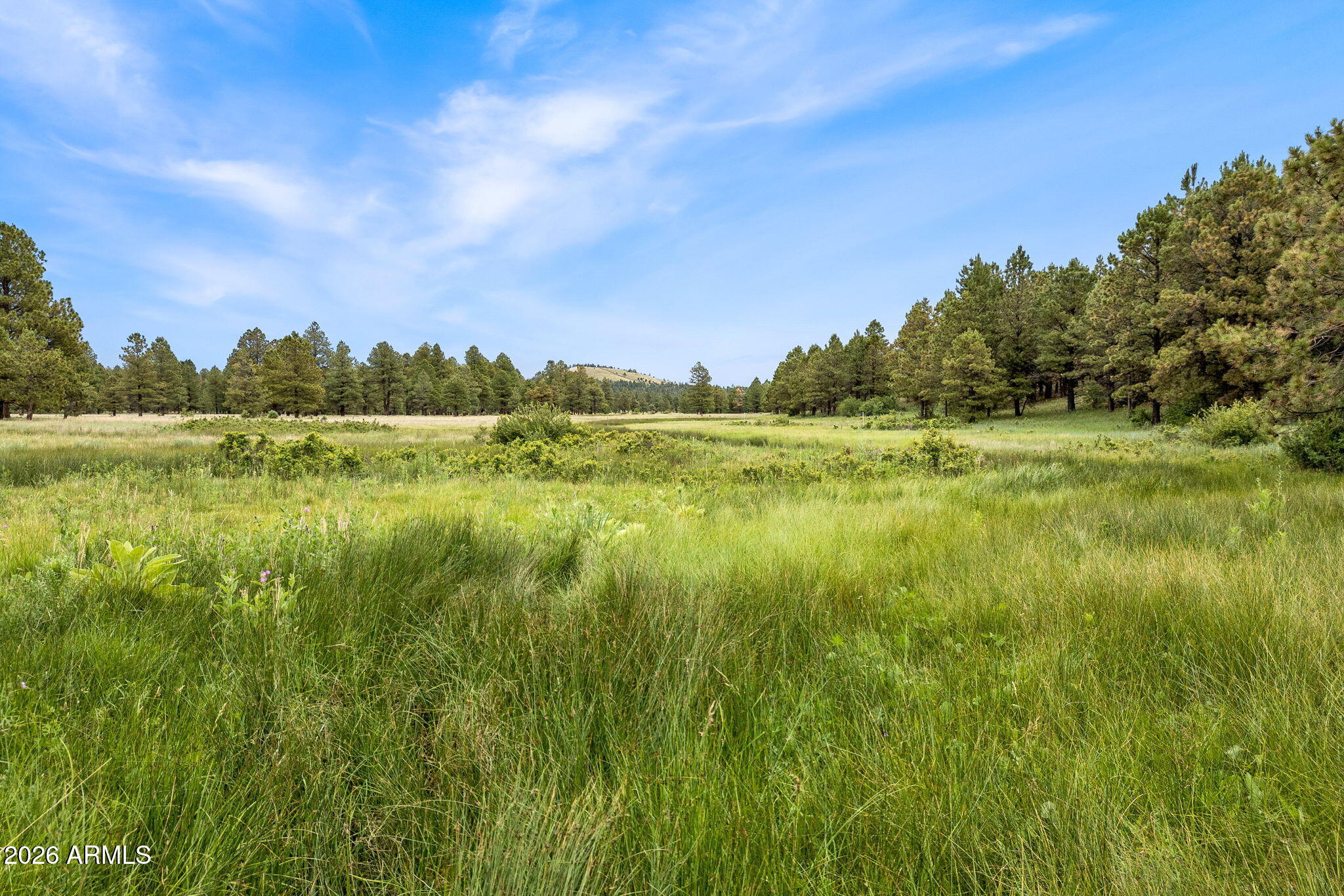 HIDDEN MEADOW RANCH - Land