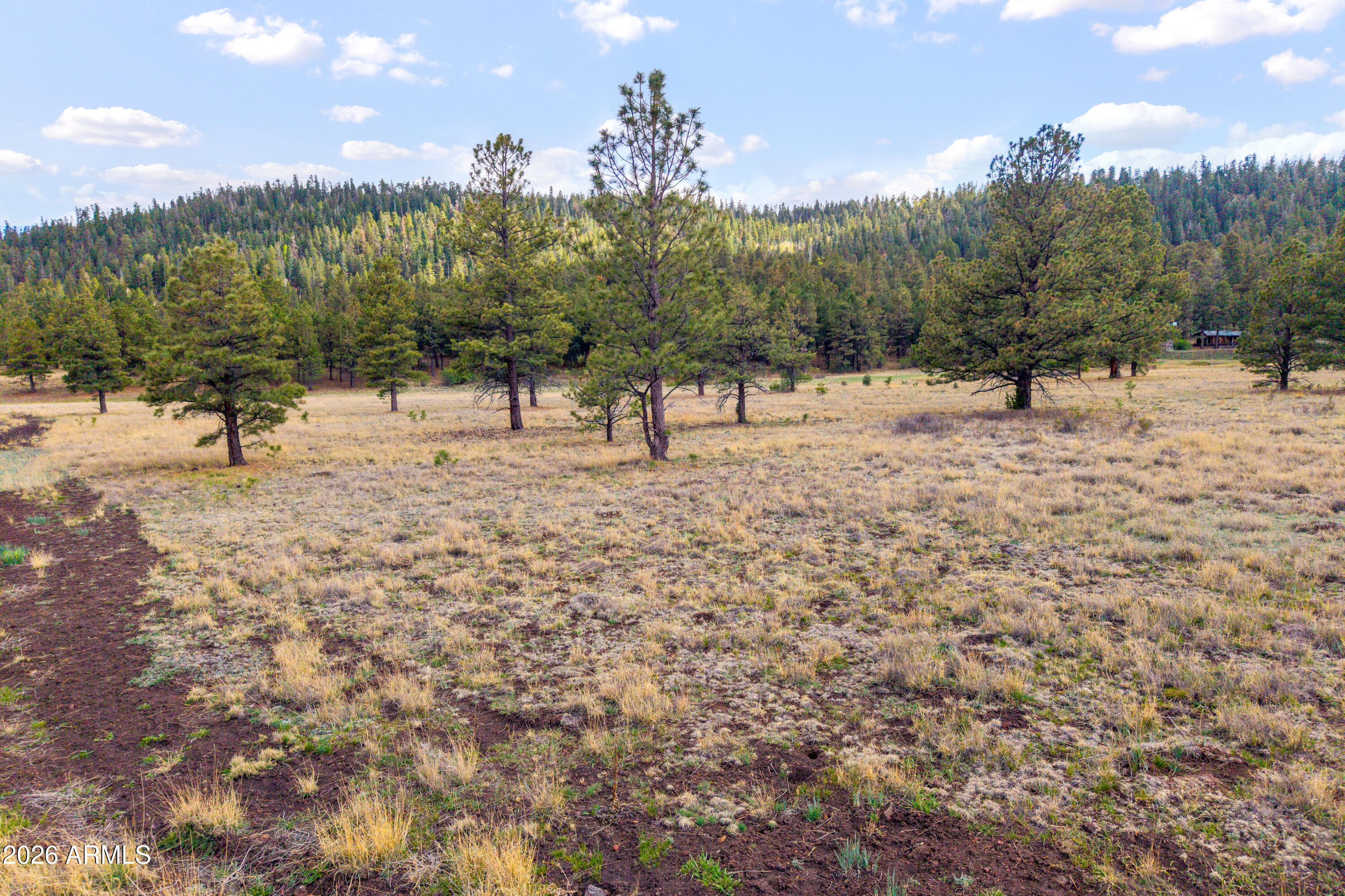 HIDDEN MEADOW RANCH - Land