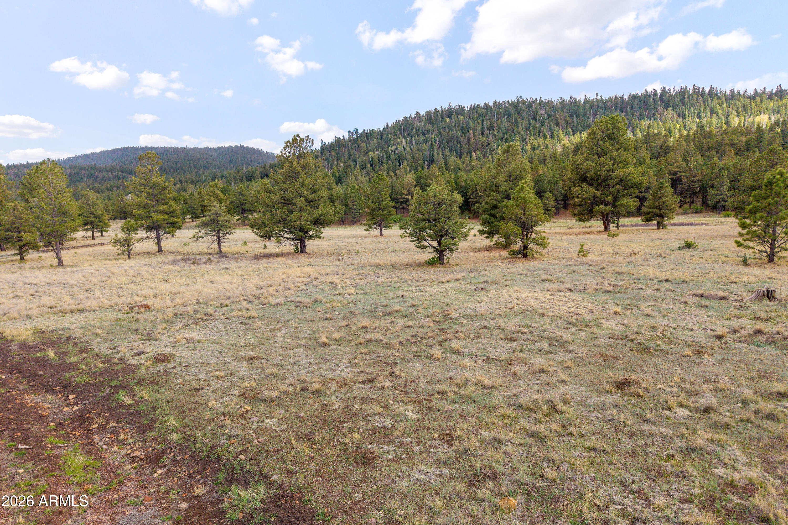 HIDDEN MEADOW RANCH - Land