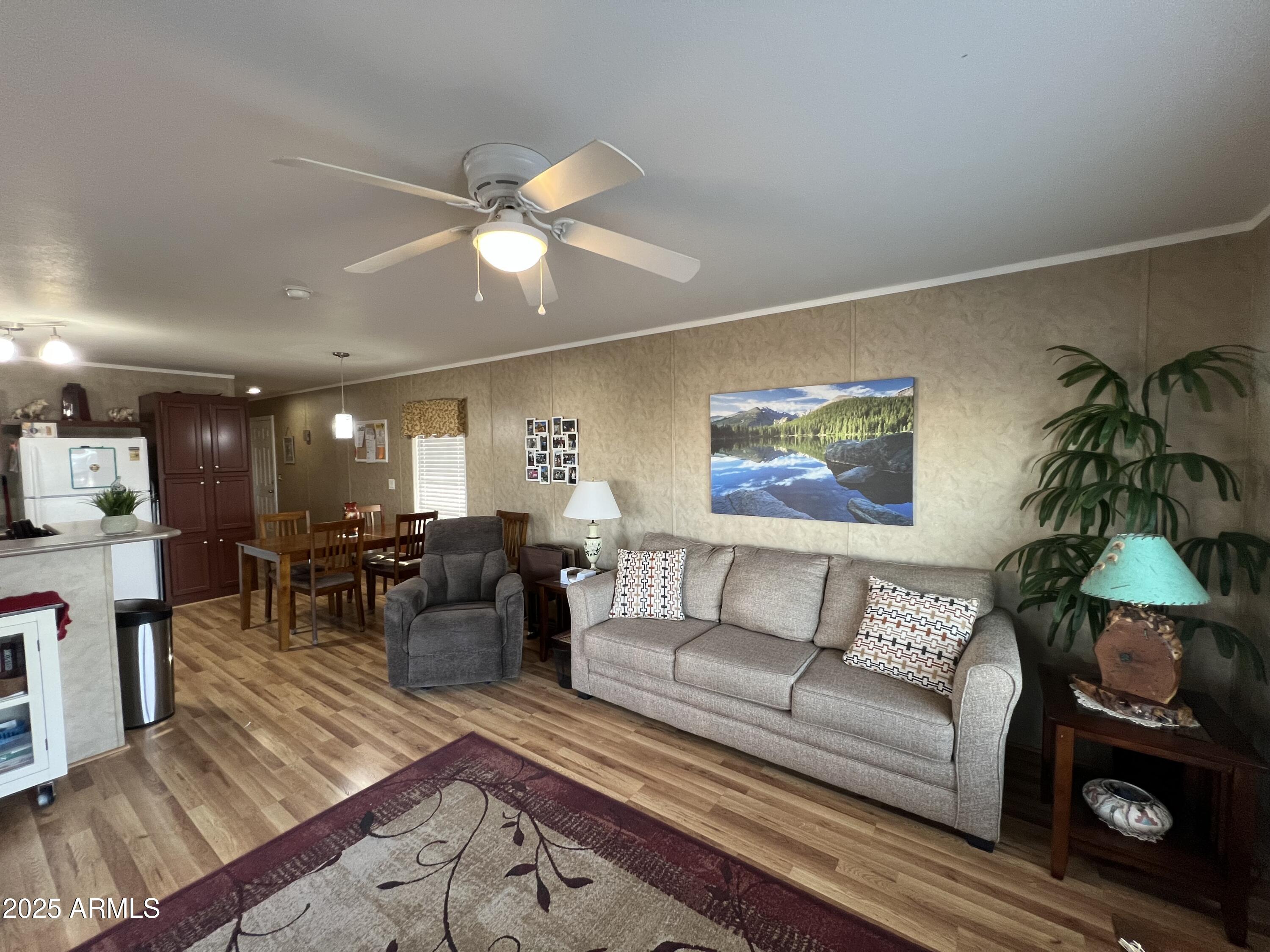 747 E Germann Road 9