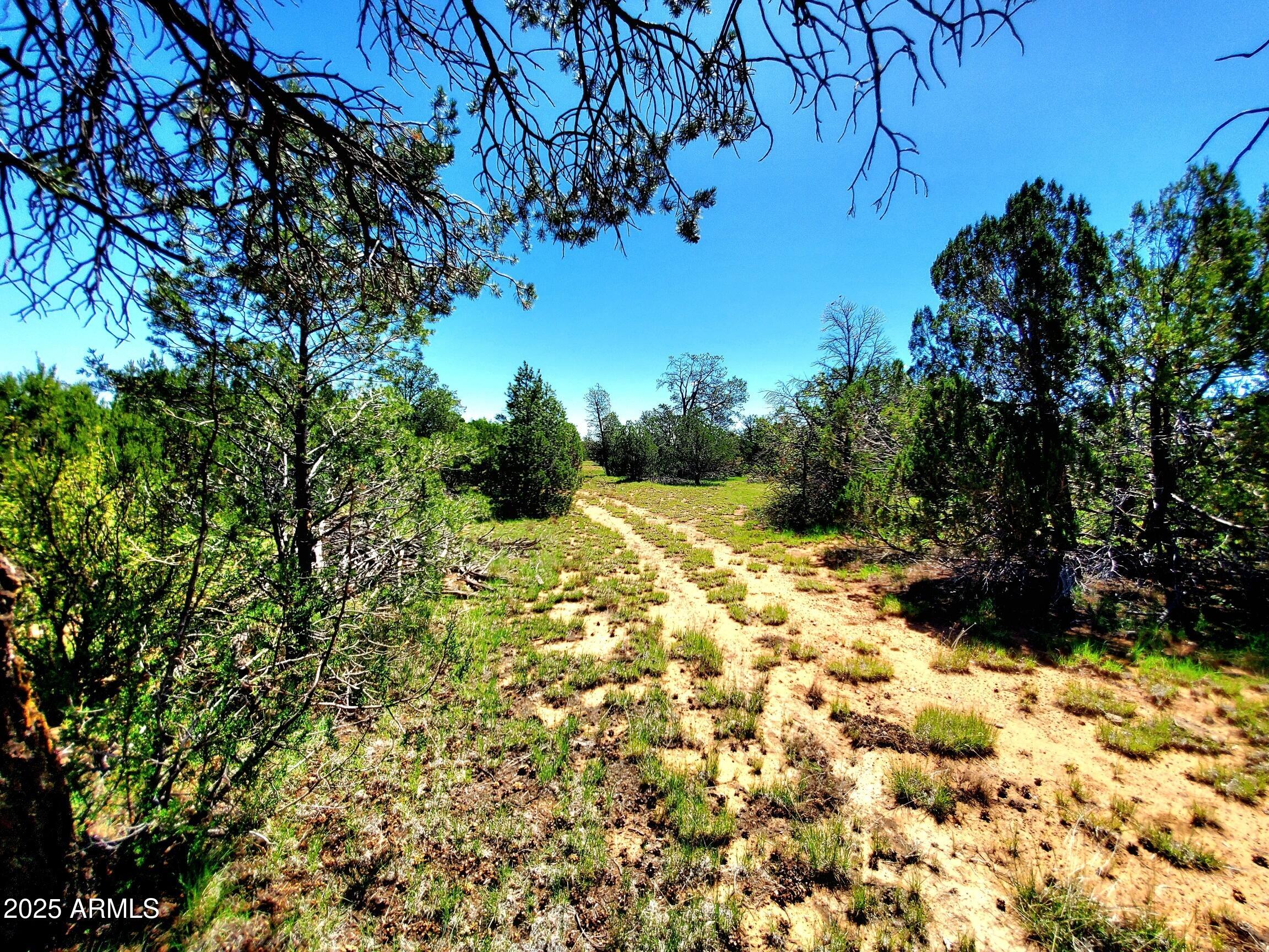 MOGOLLON RANCH 2 - Land