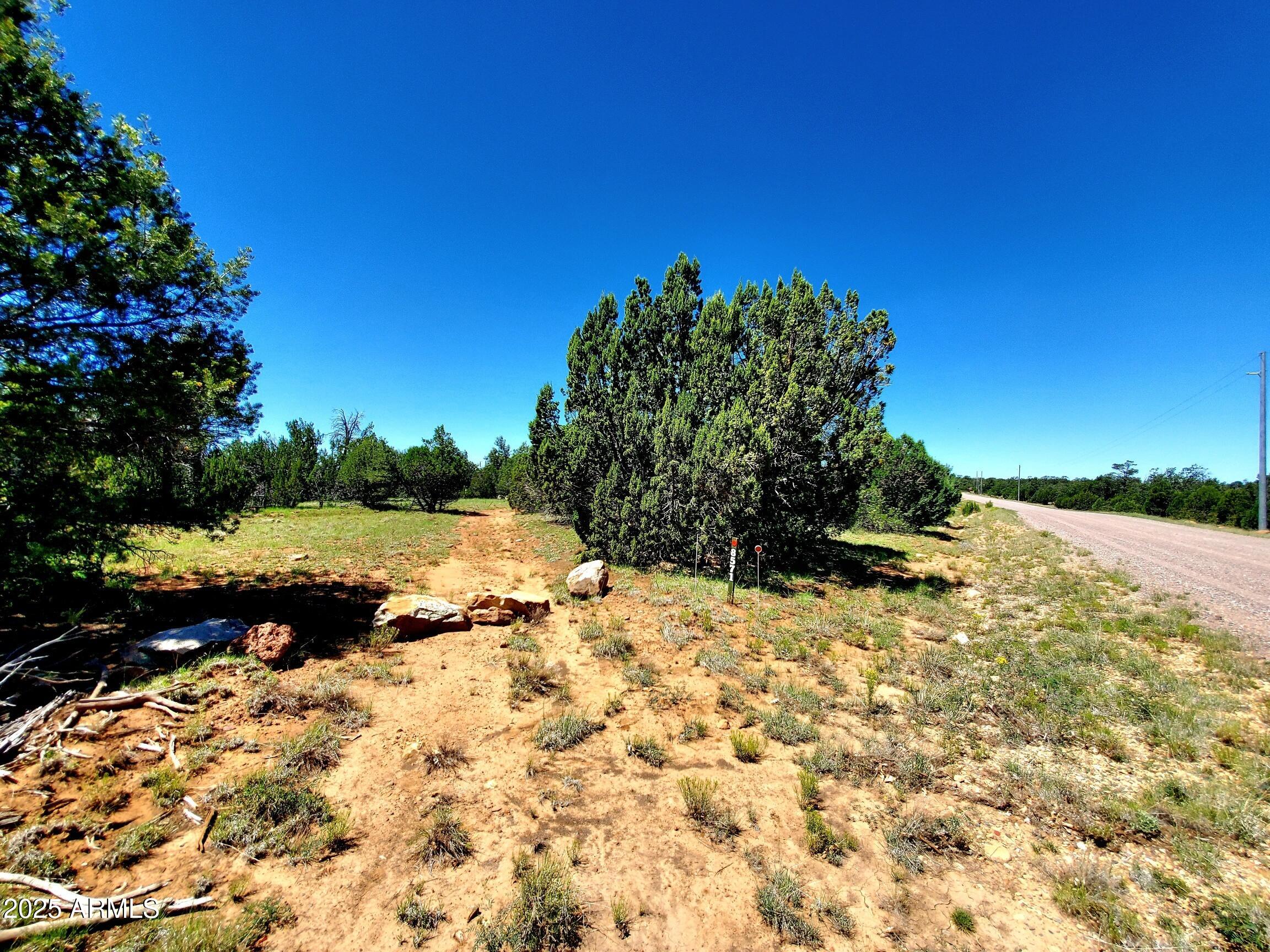 8571 HAVEN CREST Drive 229