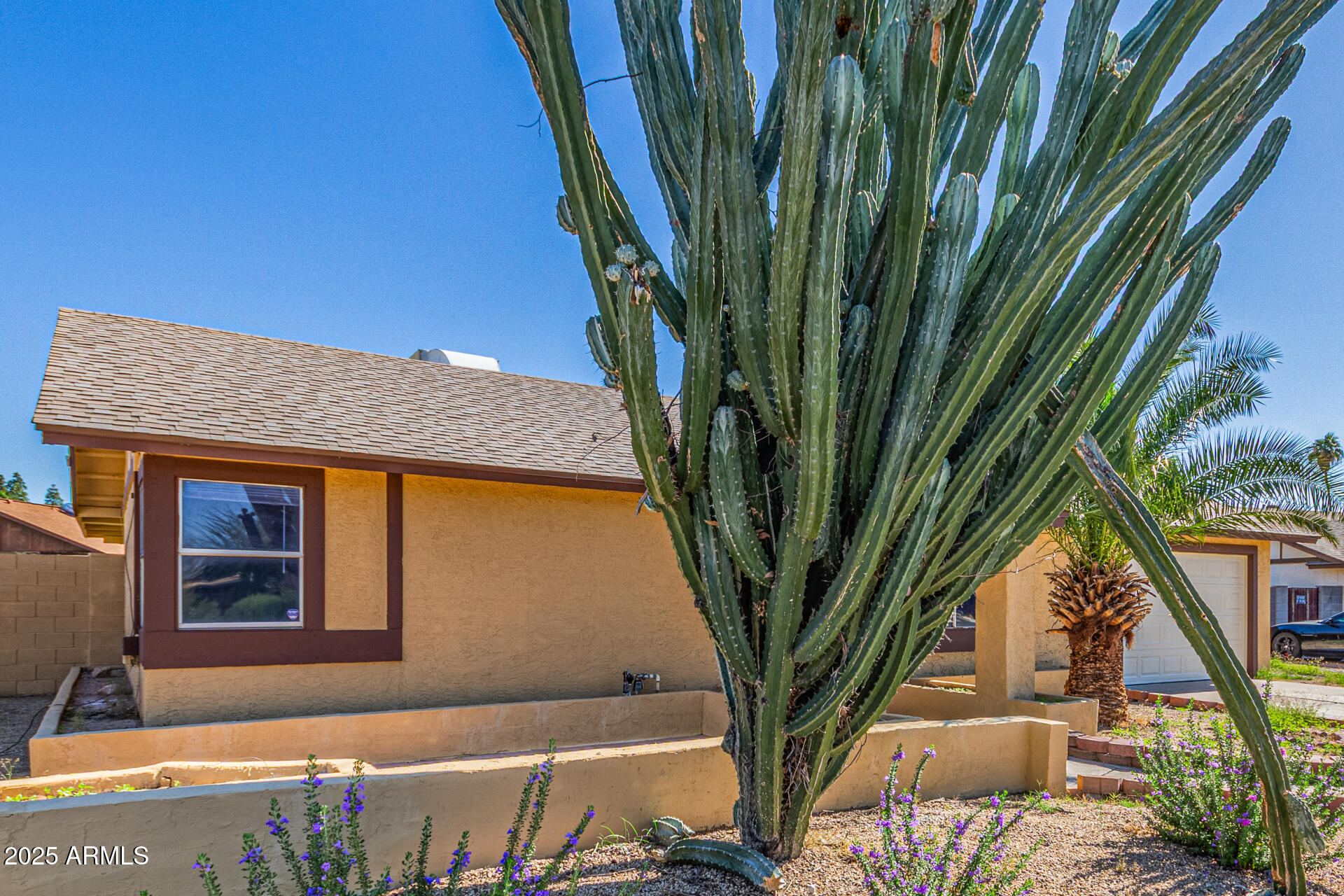 Homes for Sale in Queen Creek Arizona 3 14621 N 60TH Avenue