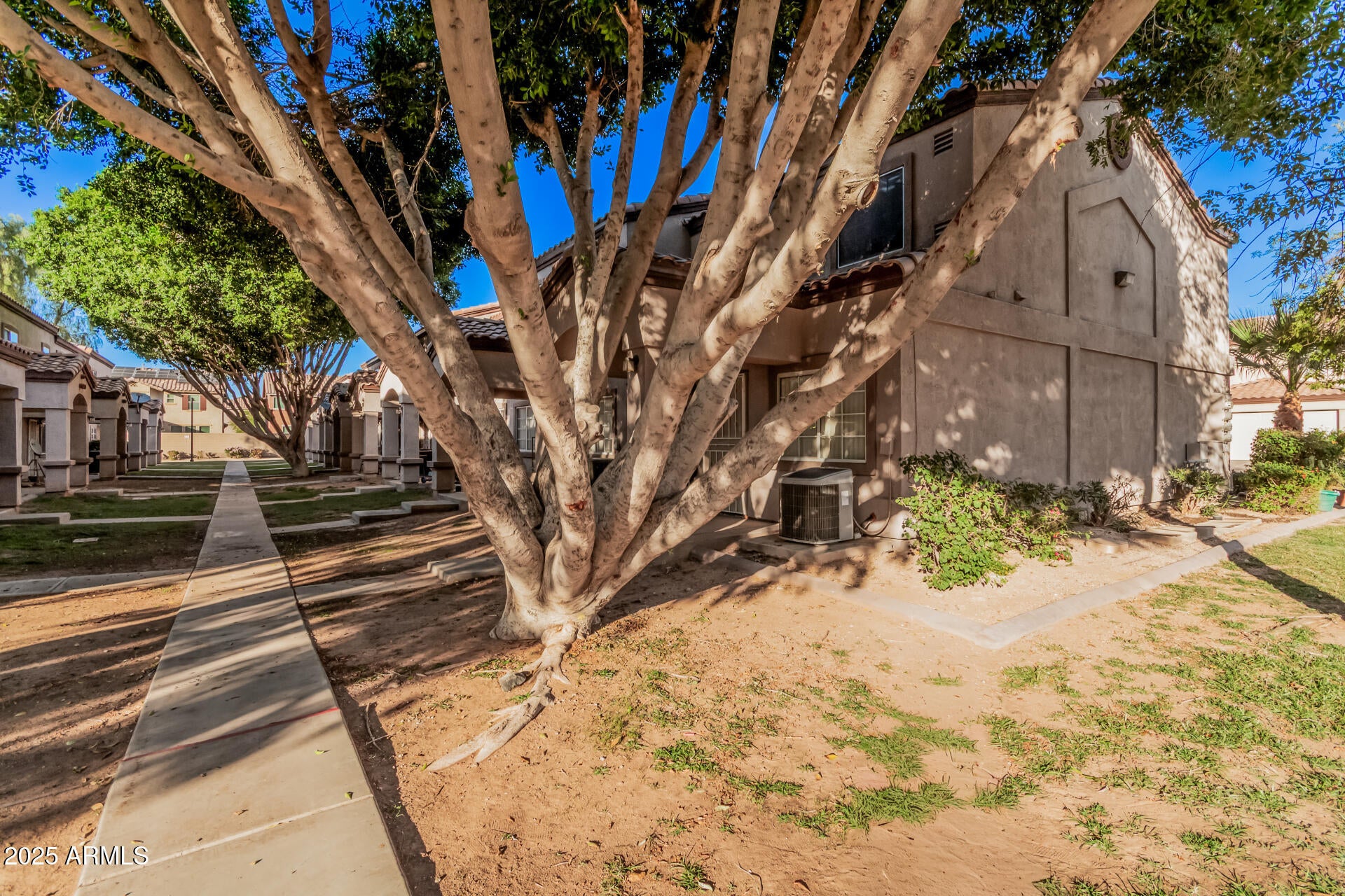 125 S 56TH Street 115