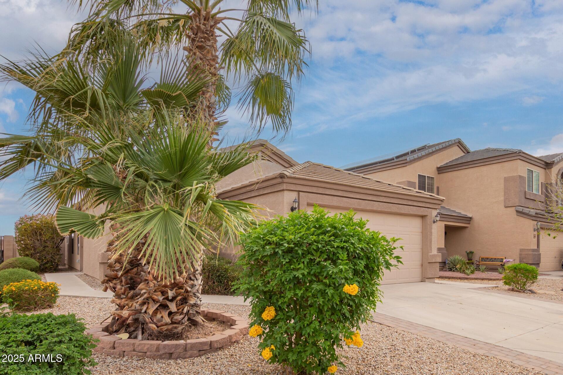 6423 E LUSH VISTA View