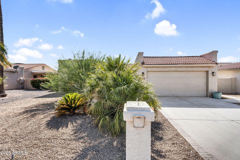25810 S BOXWOOD Drive Sun Lakes AZ 85248