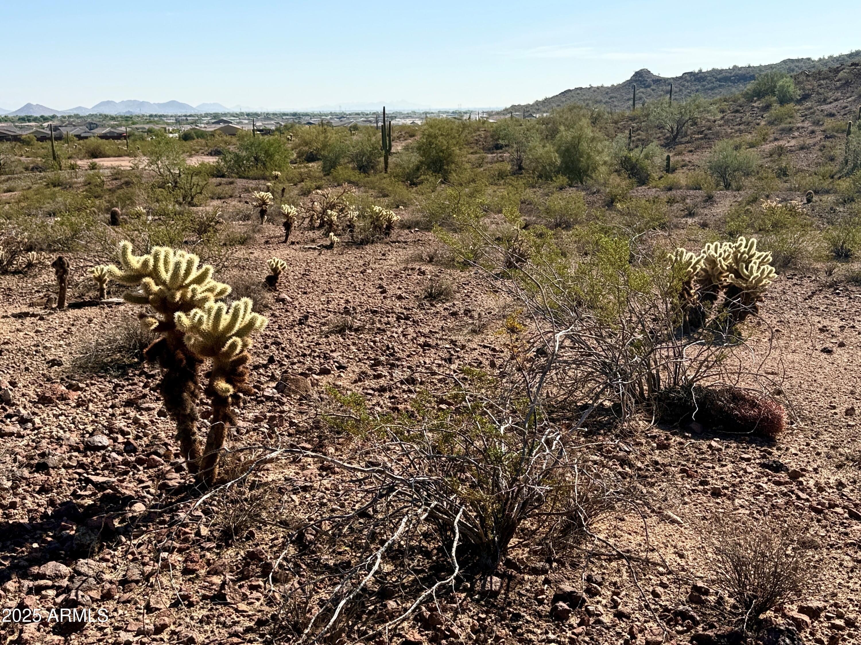 139XX W Blackstone Lane -