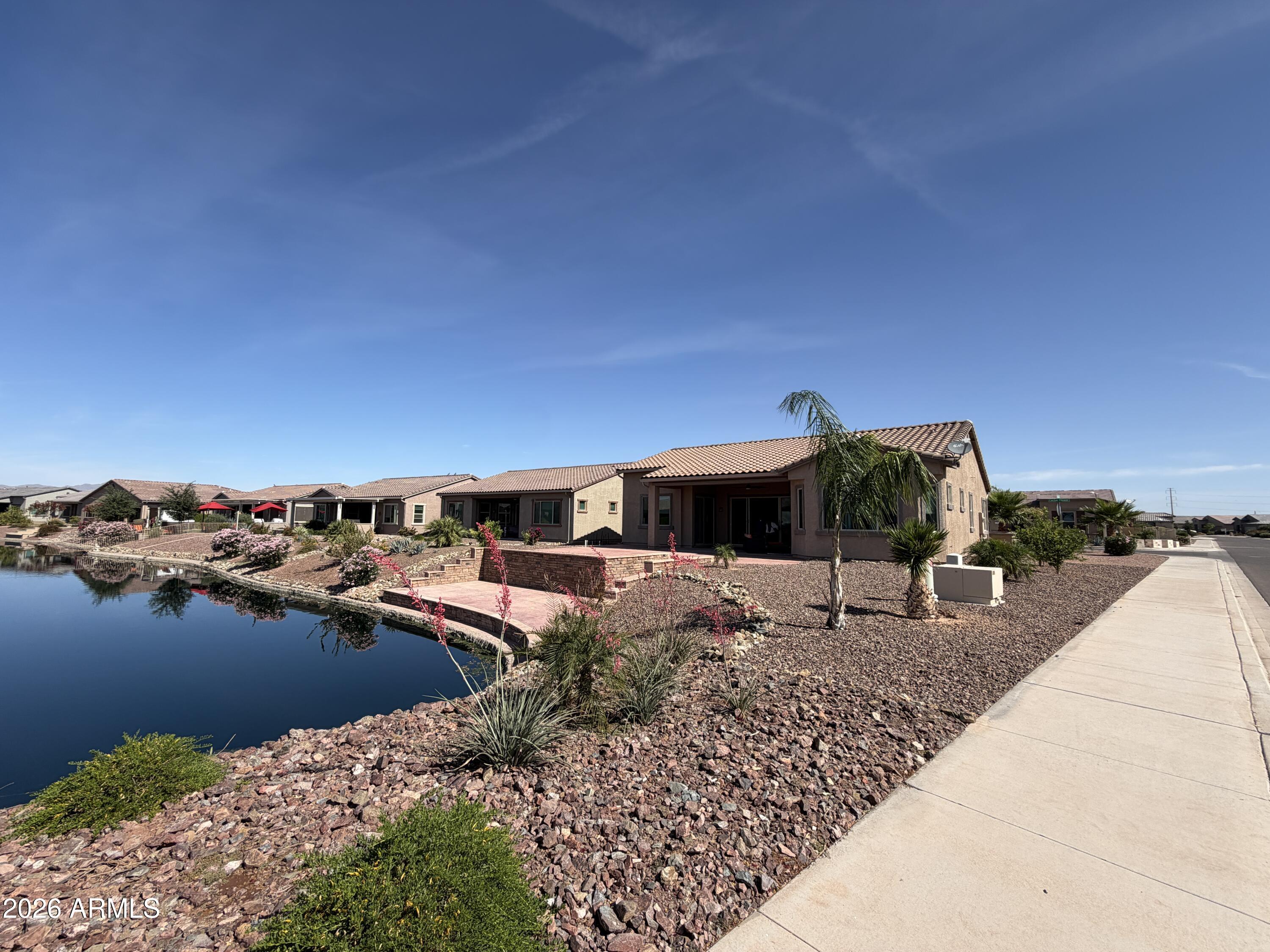 41801 W CACTUS FLOWER --