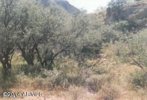 155 E Circulo Milpas Road 155