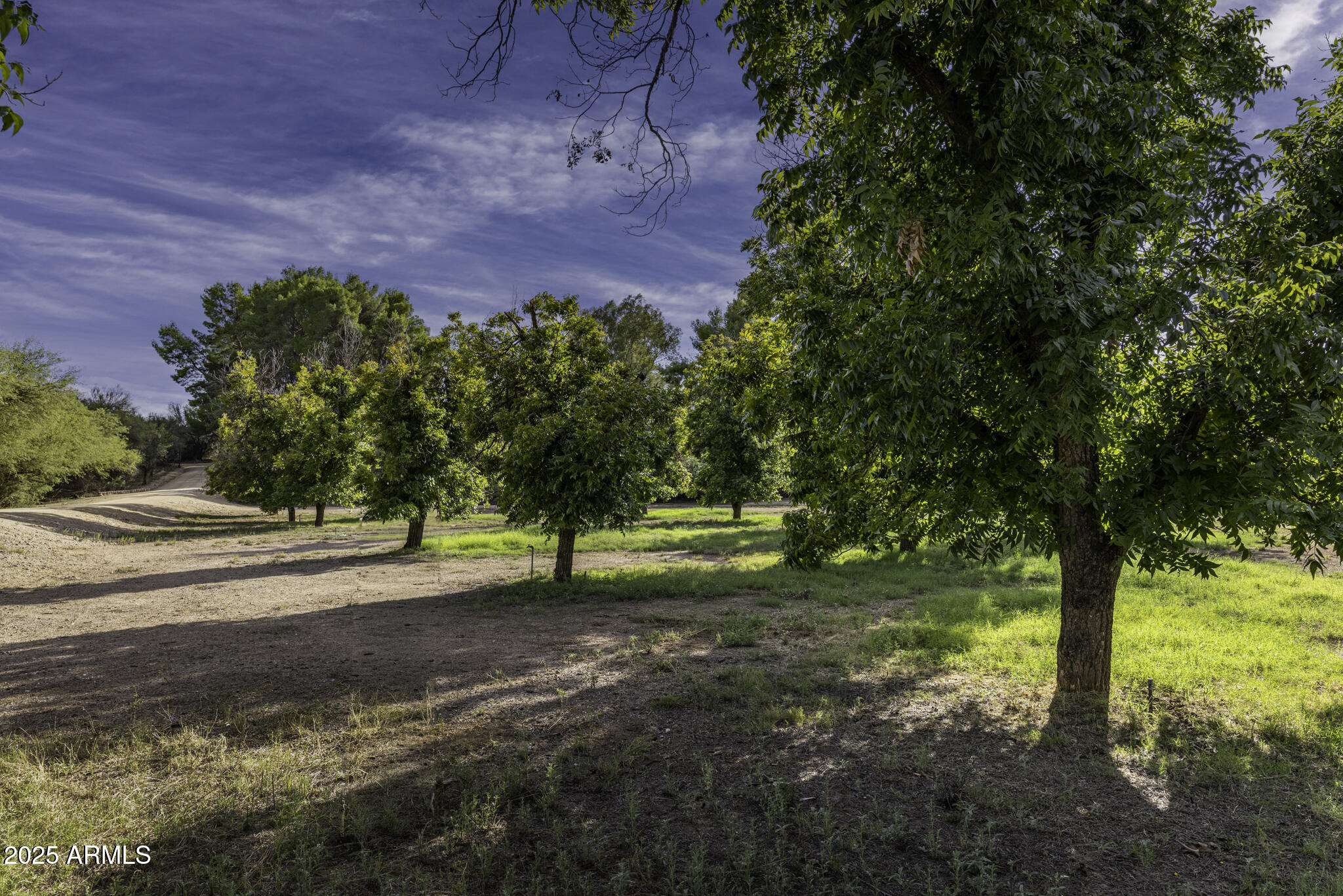 Lazy RC Ranch, Historic Brill Ranch on the Hassayampa River, Bordering the Nature Conservancy - Residential