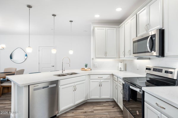 2511 W QUEEN CREEK RD UNIT 271, CHANDLER, AZ 85248 - Image 6704d5339ec15756100d211bae160661/329268876
