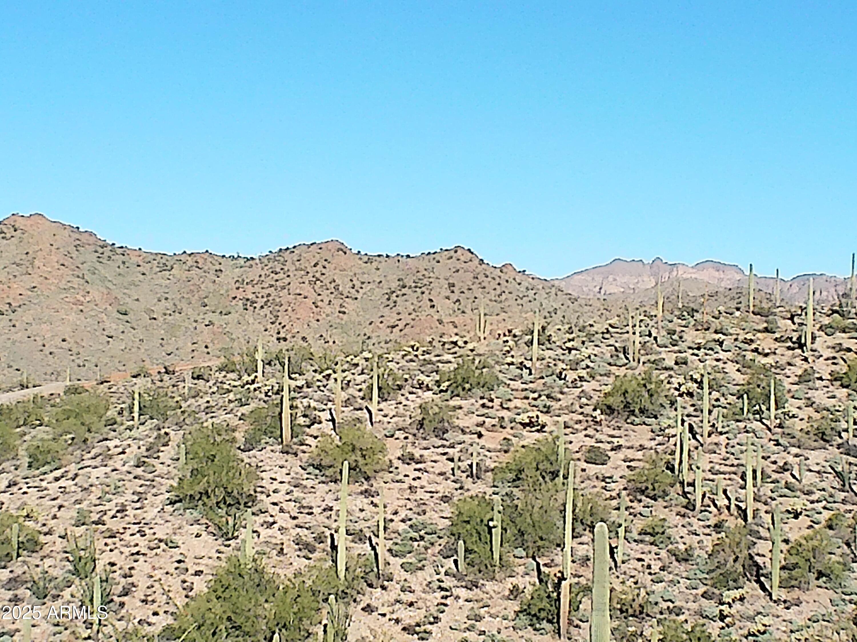 0 E Silver Tip Road -