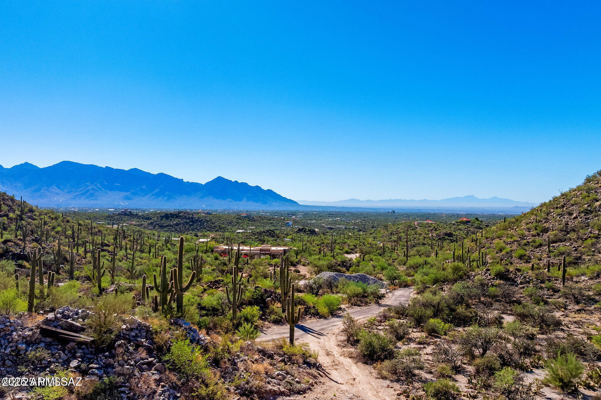 14124 N TORTOLITA ESTATES Drive -