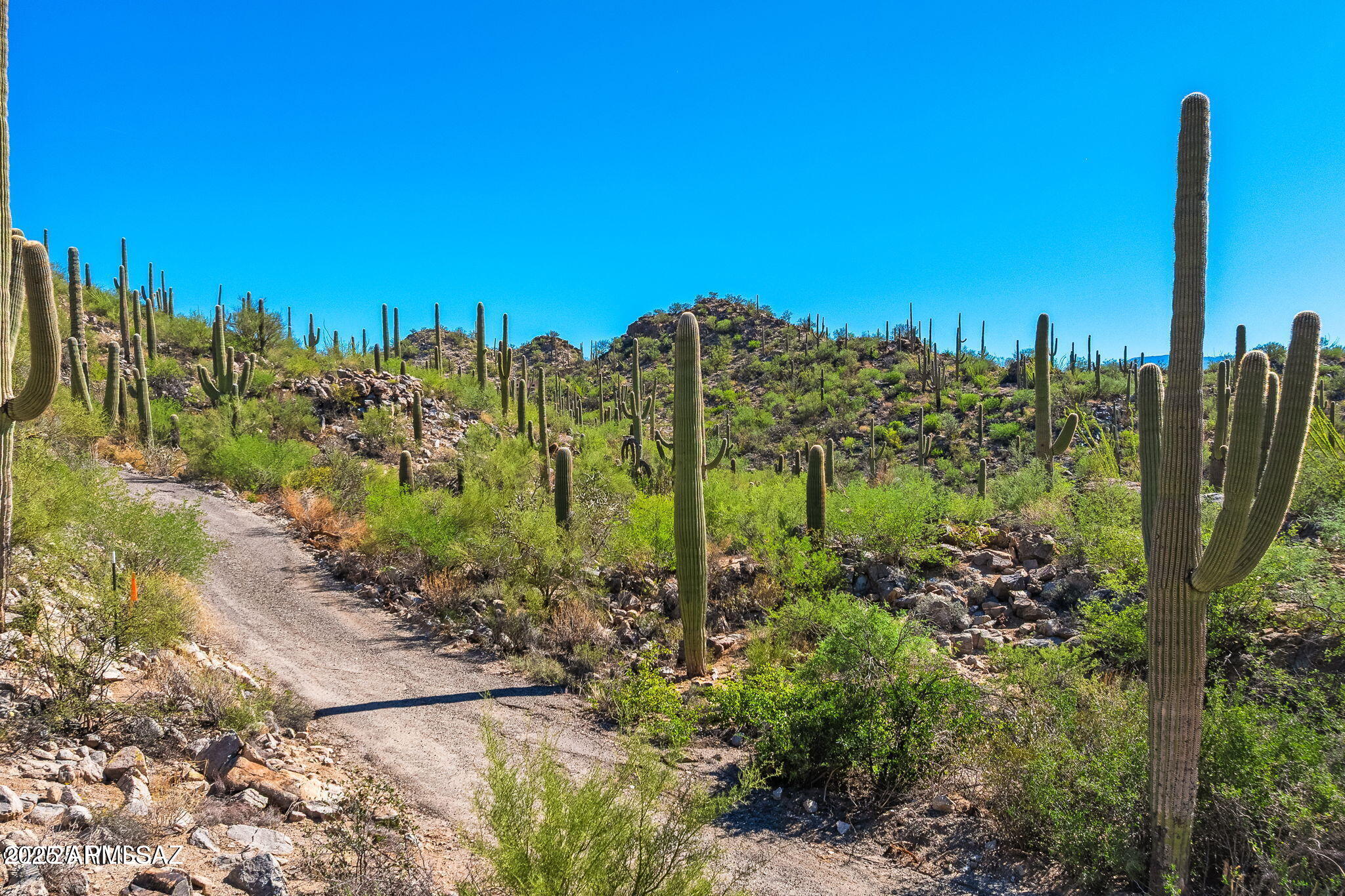 14124 N TORTOLITA ESTATES Drive -