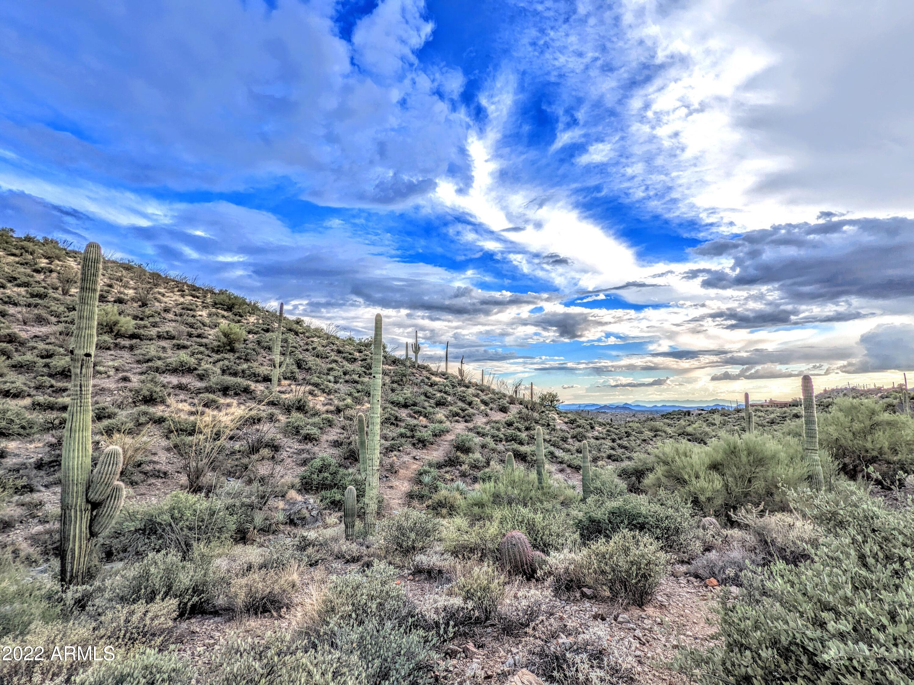 41347 N Longhorn Drive -