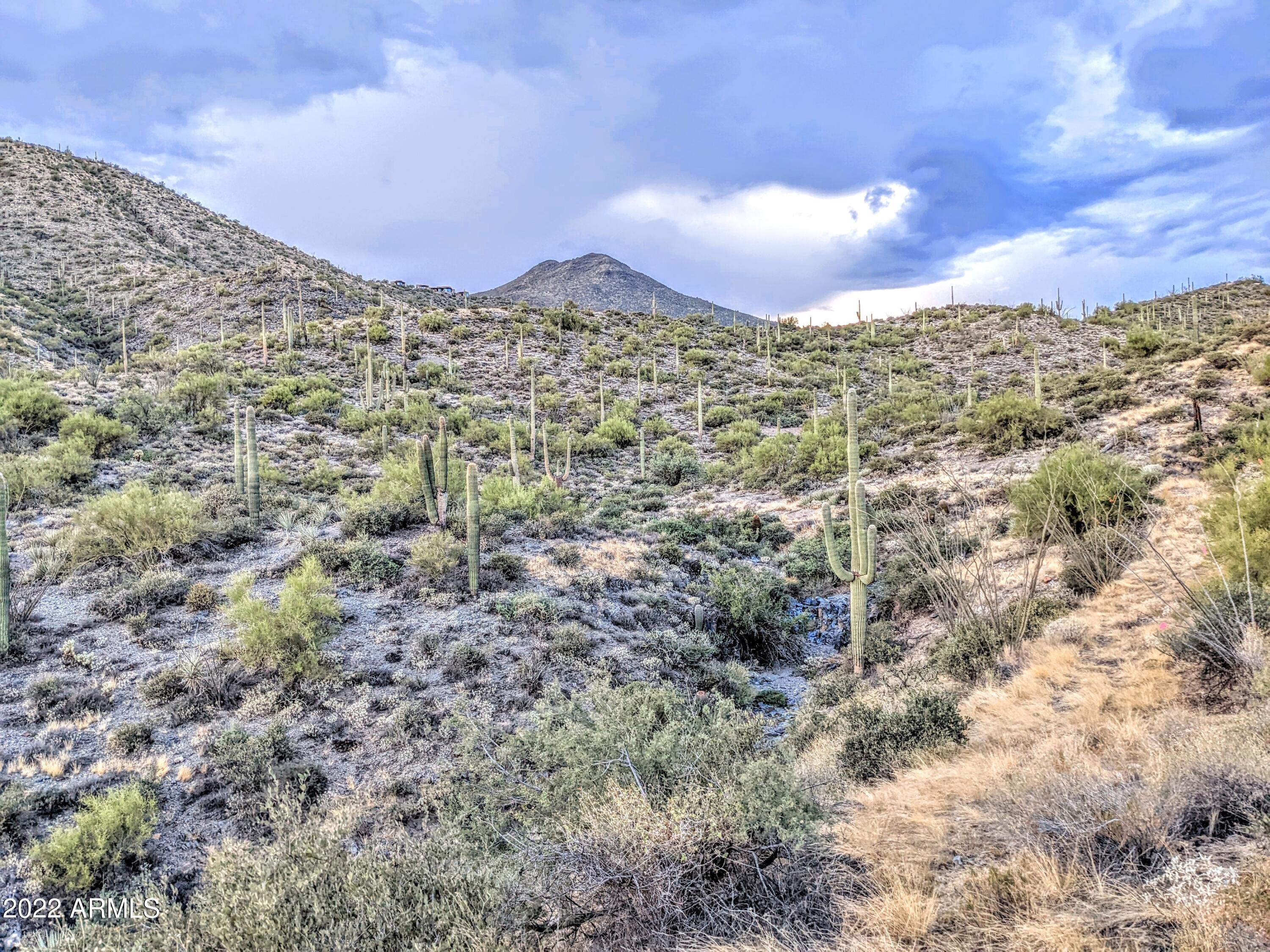41347 N Longhorn Drive -