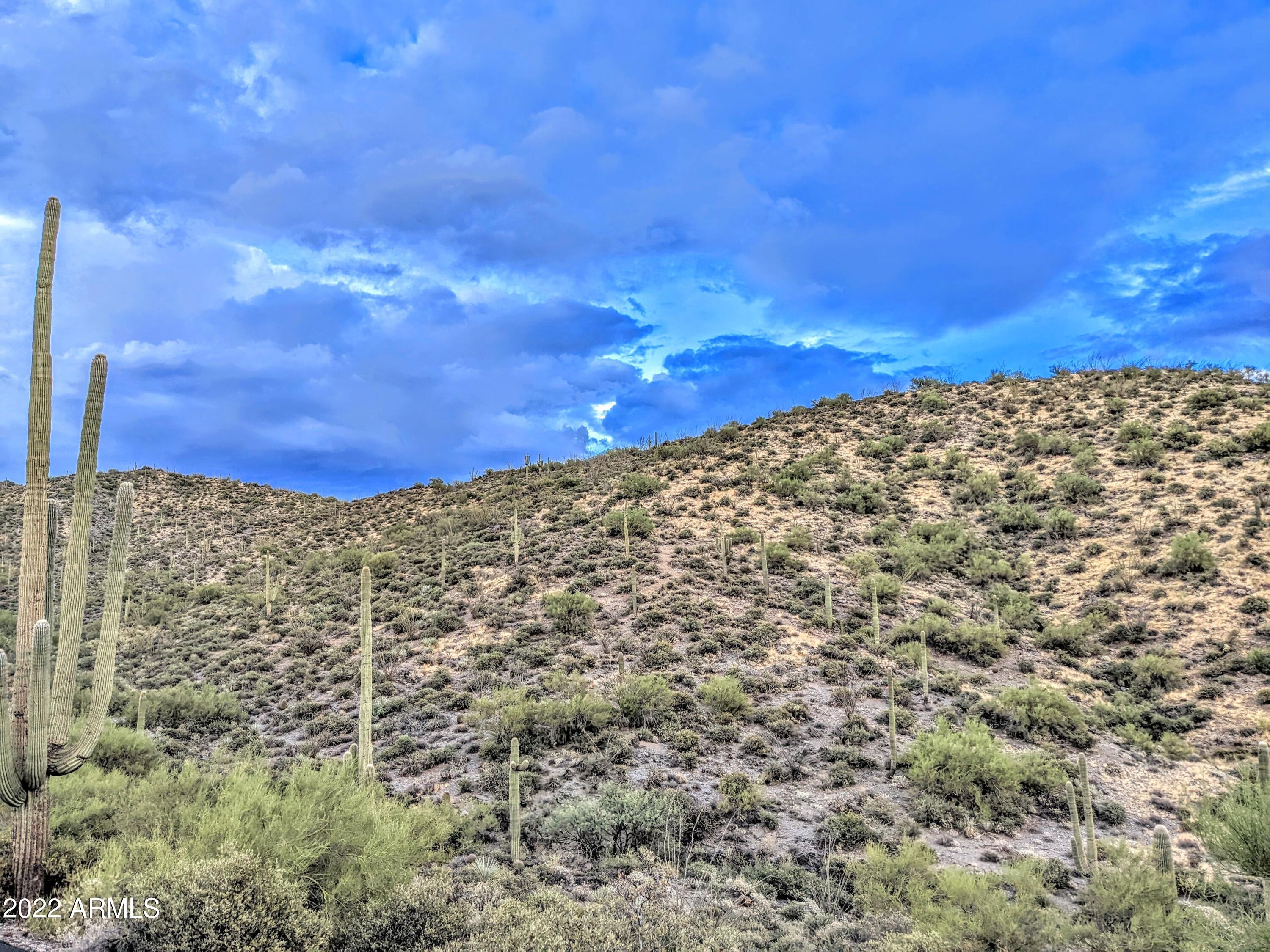 41347 N Longhorn Drive -