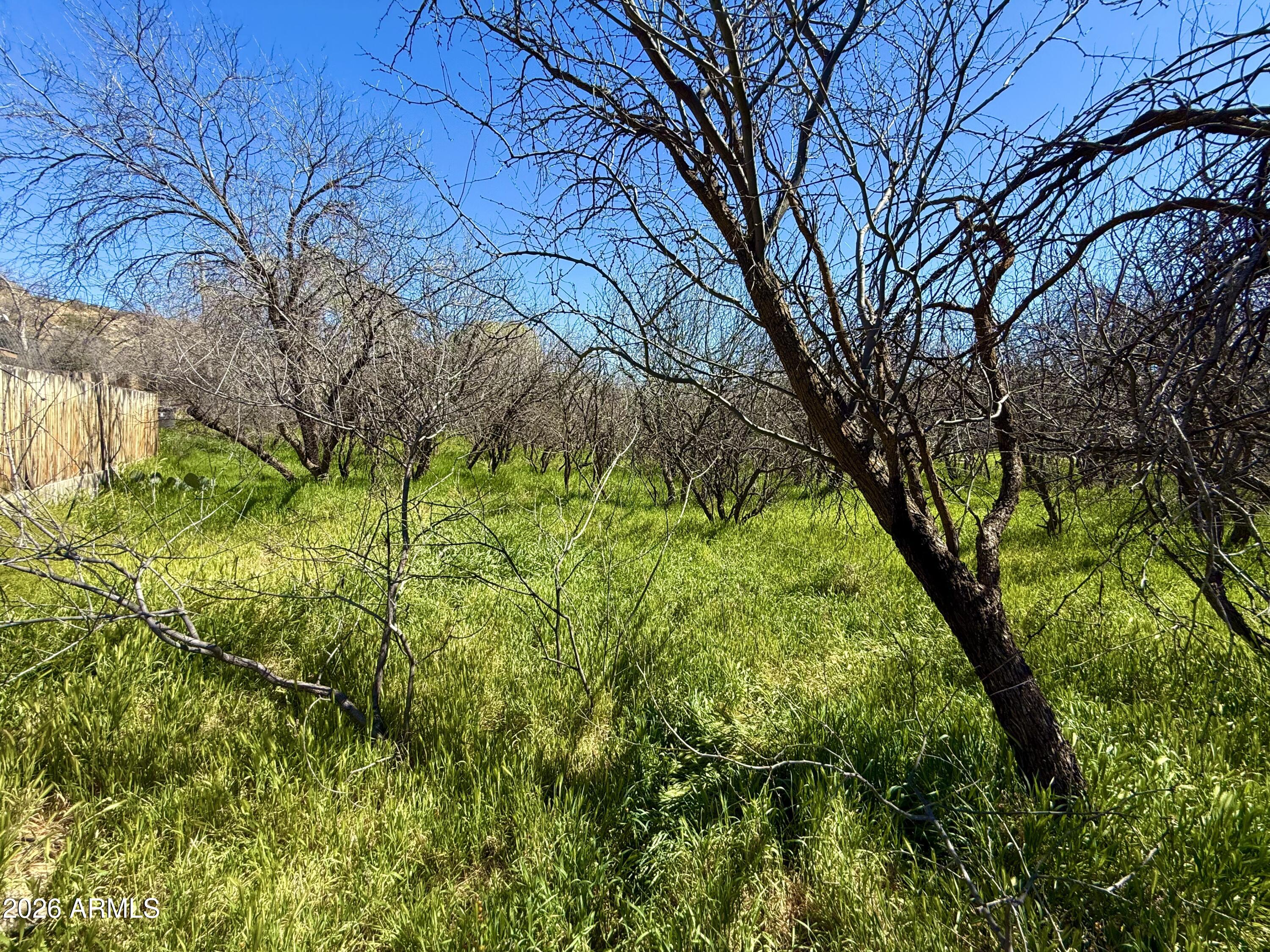 LAKE MONTEZUMA ESTATES UNIT 2 - Land