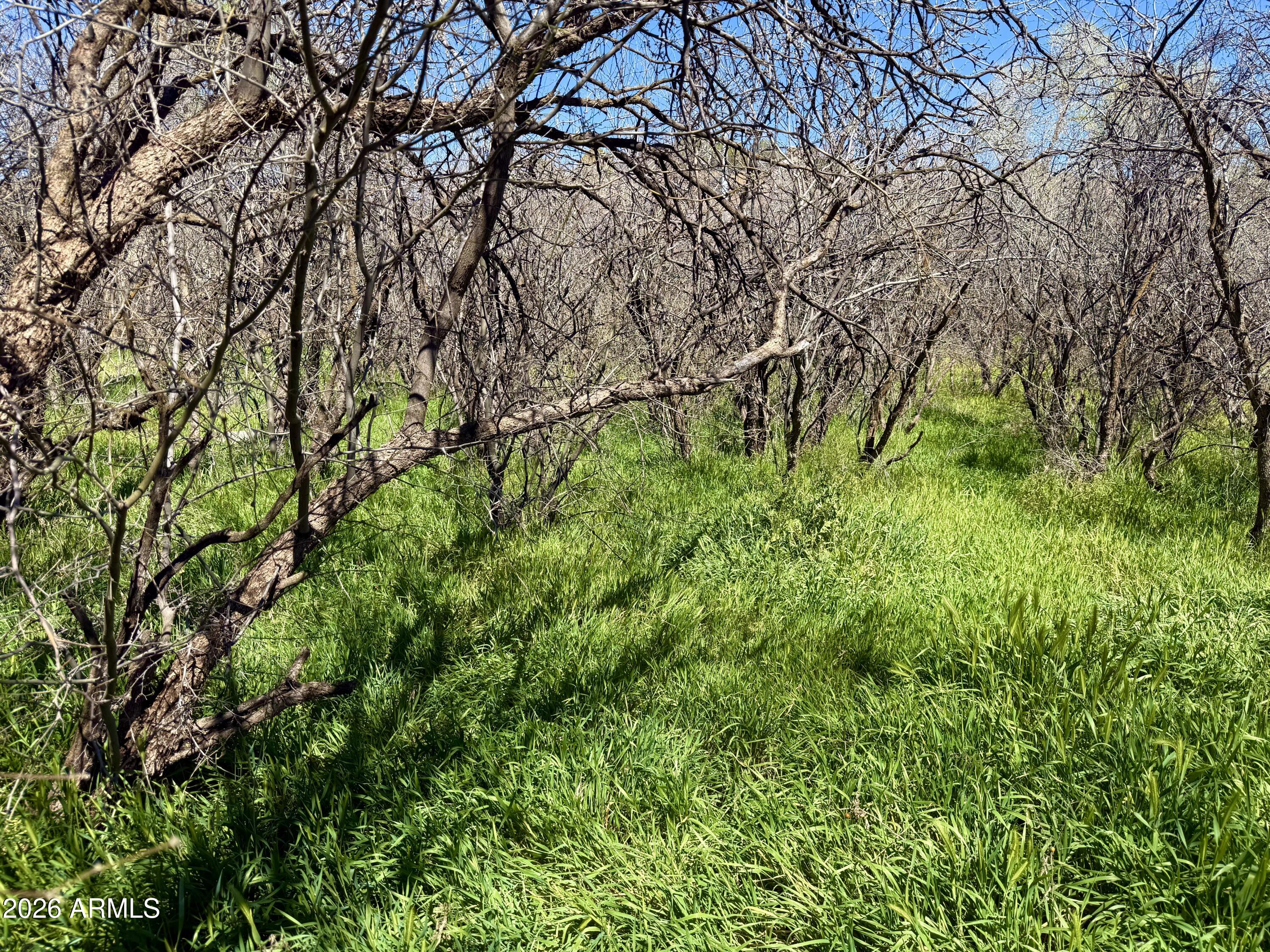 LAKE MONTEZUMA ESTATES UNIT 2 - Land