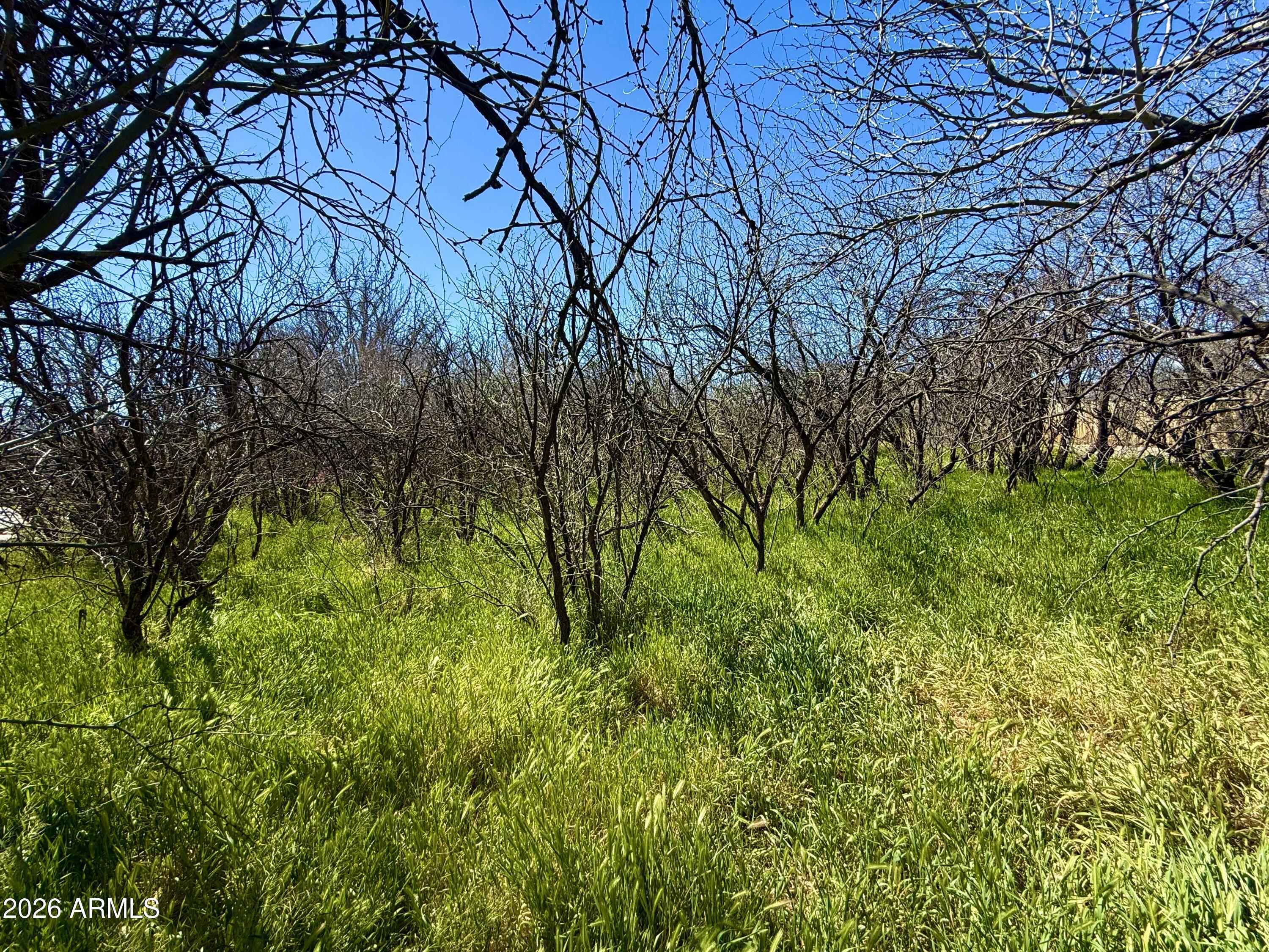 5360 N KRAMER Drive 425