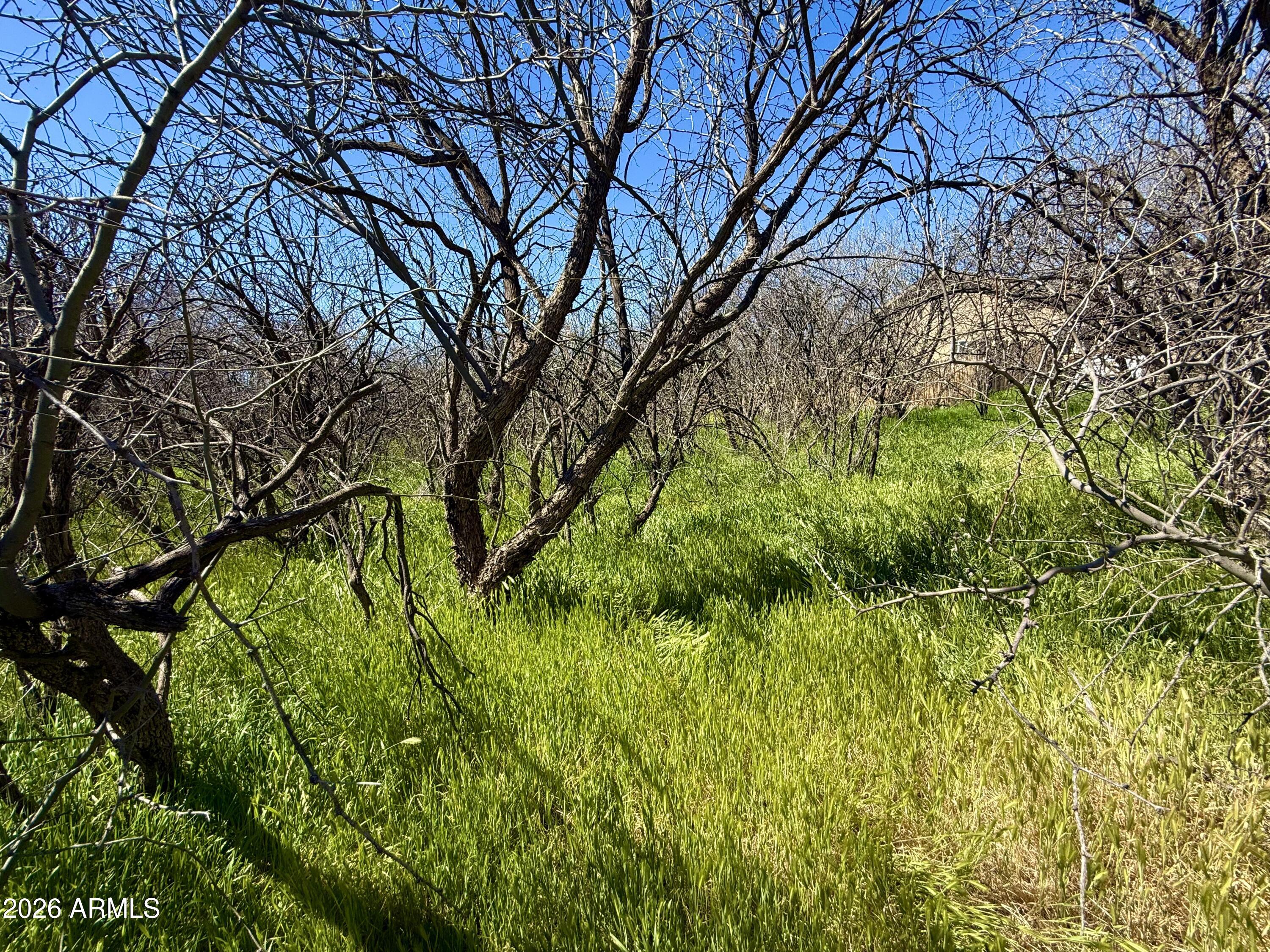 5360 N KRAMER Drive 425