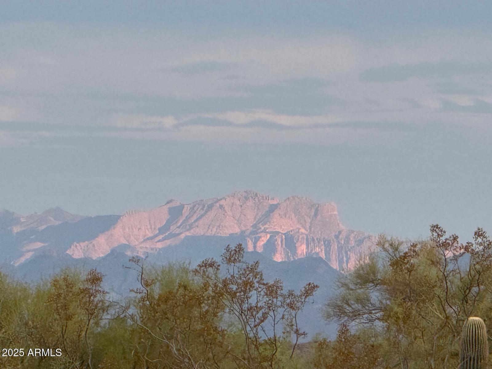 15966 E JOMAX Road -