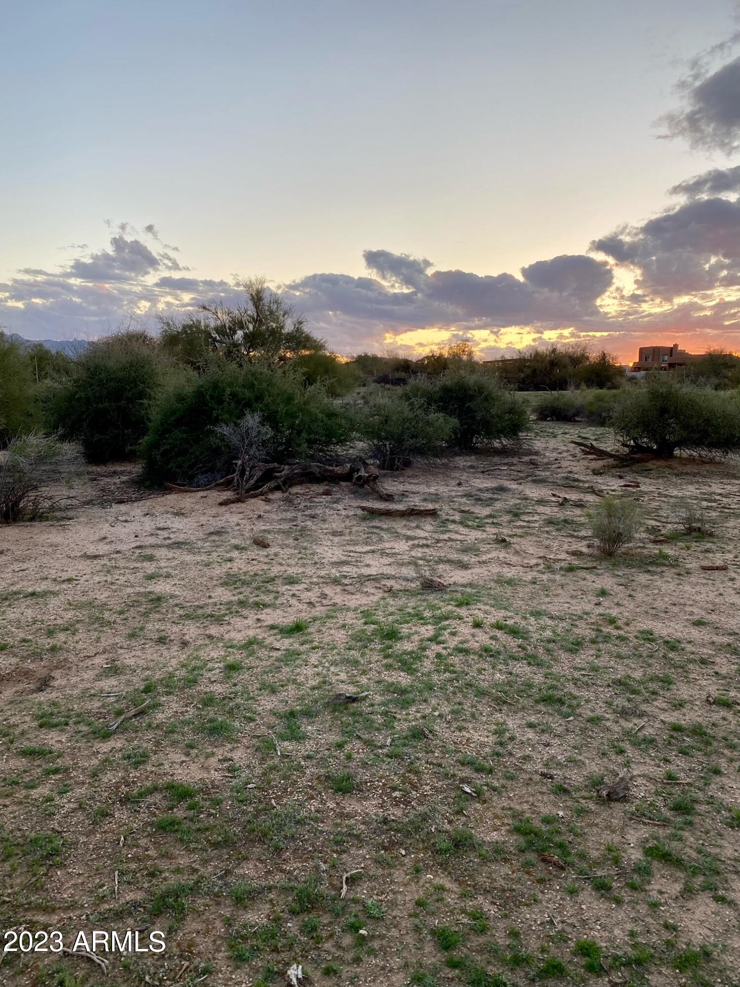 15516 E HORNED OWL Trail -