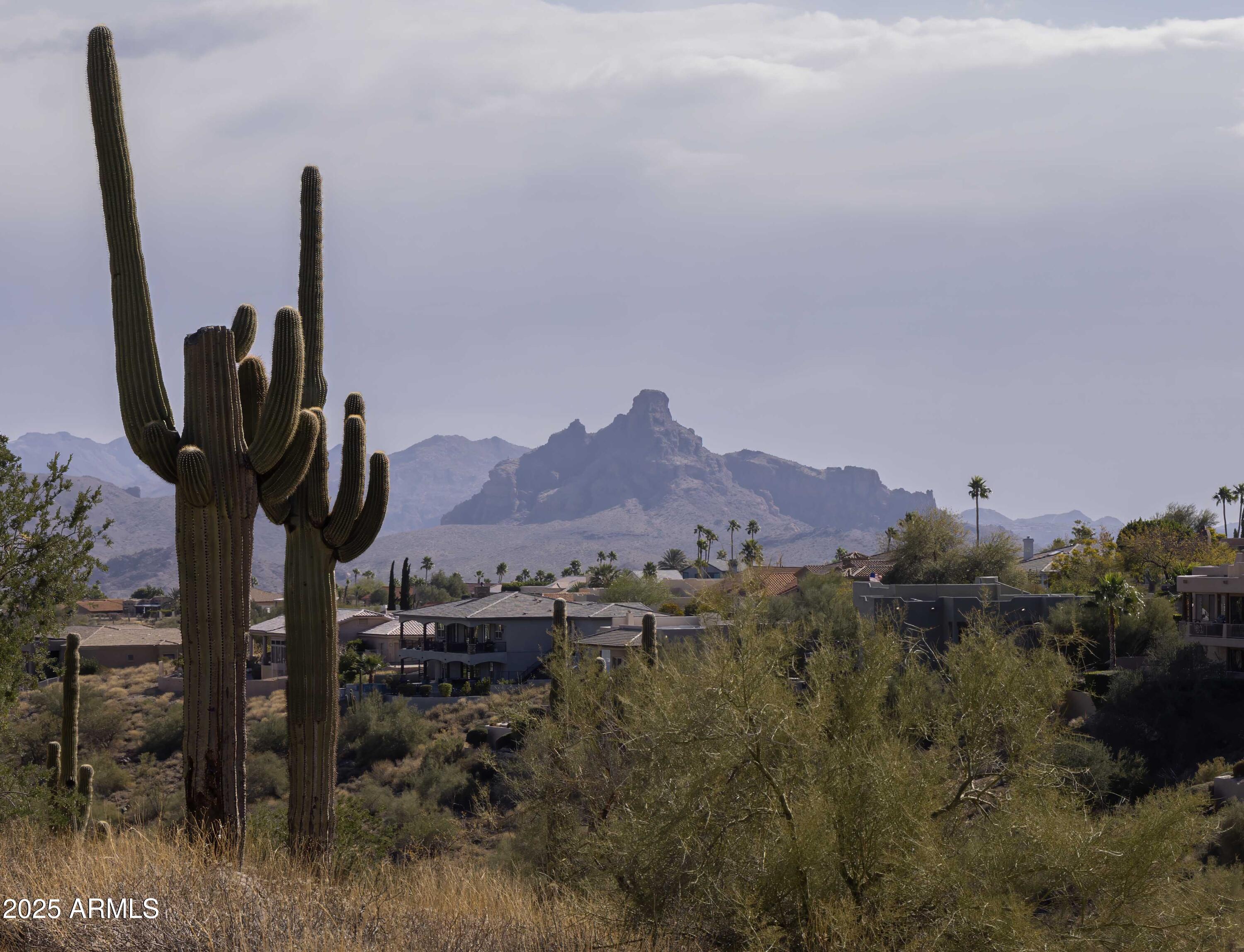 15109 E Sunburst Drive 11