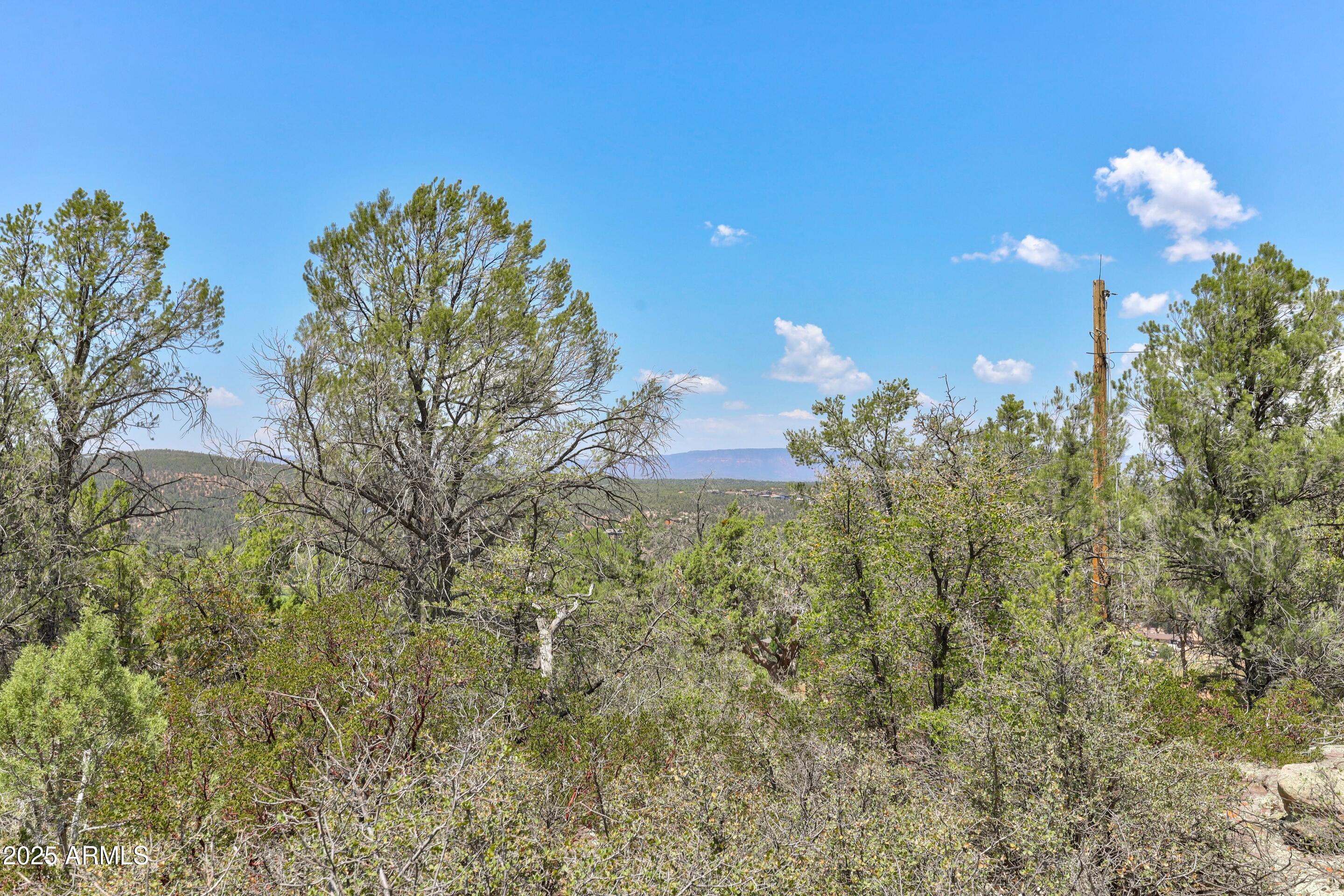 1106 S GOLD NUGGET Lane 3