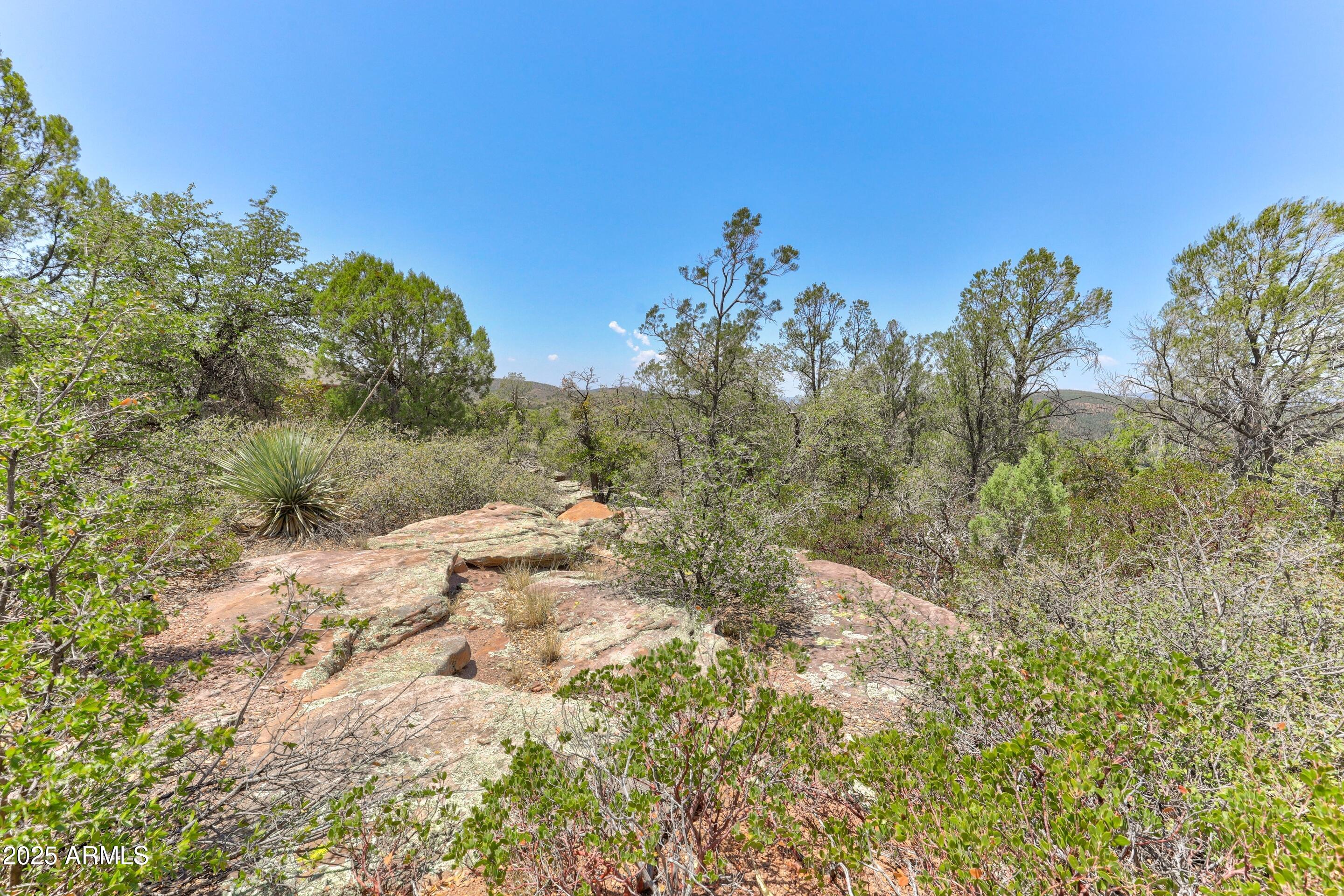 RODEO RANCHES PLAT 6 - Land