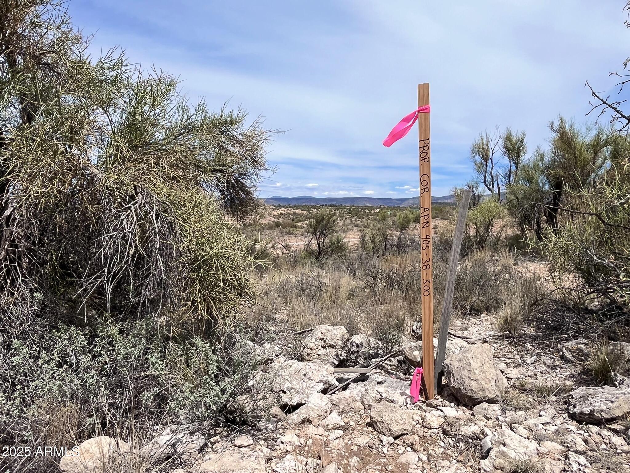 3325 E VIOLET Court 300