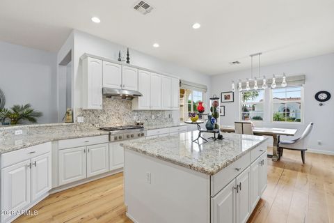 13402 W CABRILLO Drive Sun City West AZ 85375