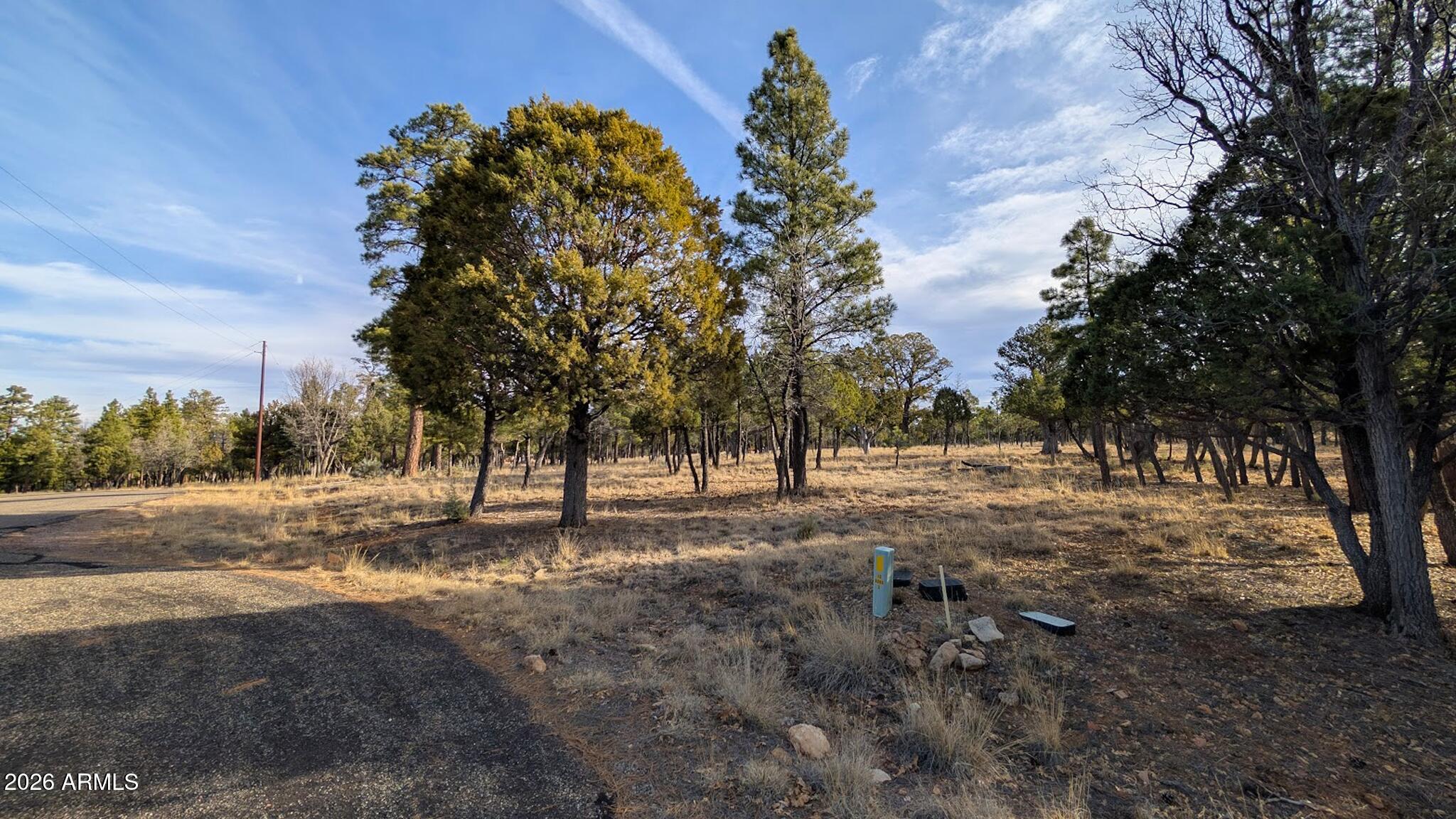 TAMARRON PINES PHASE 5 - Land