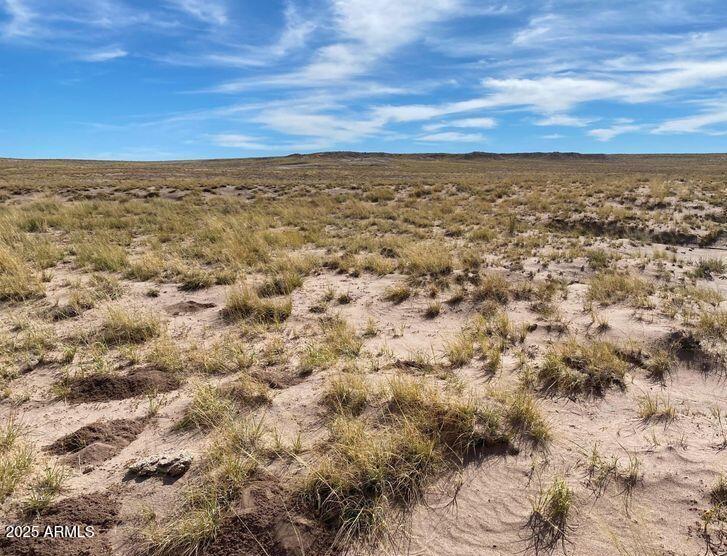 10313 Porter Avenue -