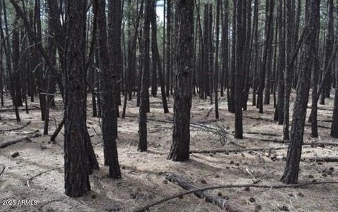 TBD Dynamite Road - Lakeside AZ 85929