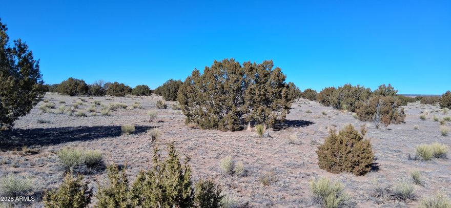 Beautiful 38-acre property ready for you to build your off-grid dream. Enjoy the privacy and watching the sunrise and sunset on this property with Incredible views. Situated within the Woodland Valley Ranch POA. There is a community well to draw water from. Seller is willing to consider a reasonable offer.