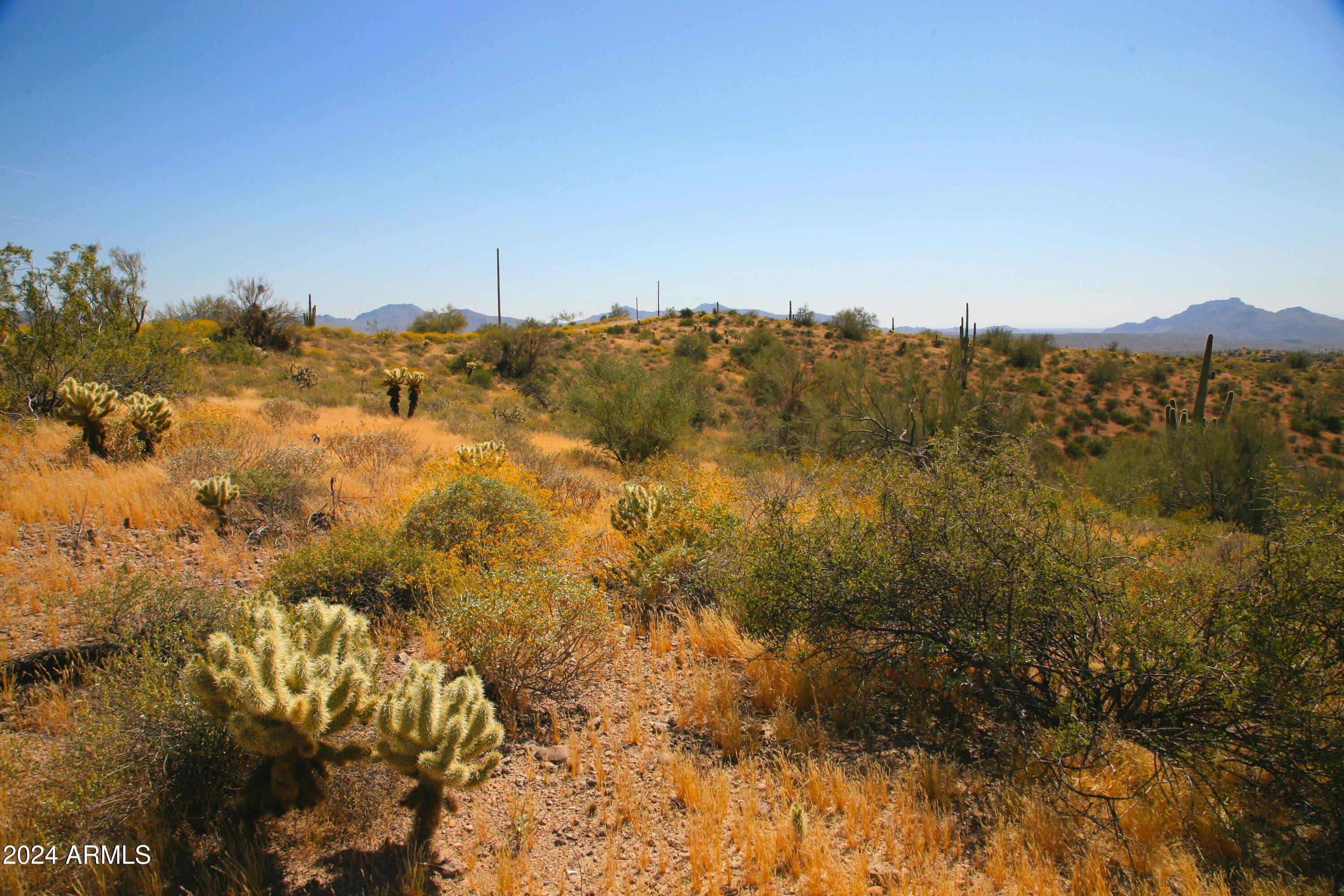 13xxx N Ambush Lane 11